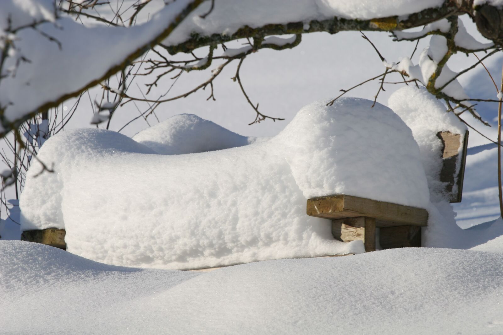 Canon EOS 20D sample photo. Winter, snow, cold photography