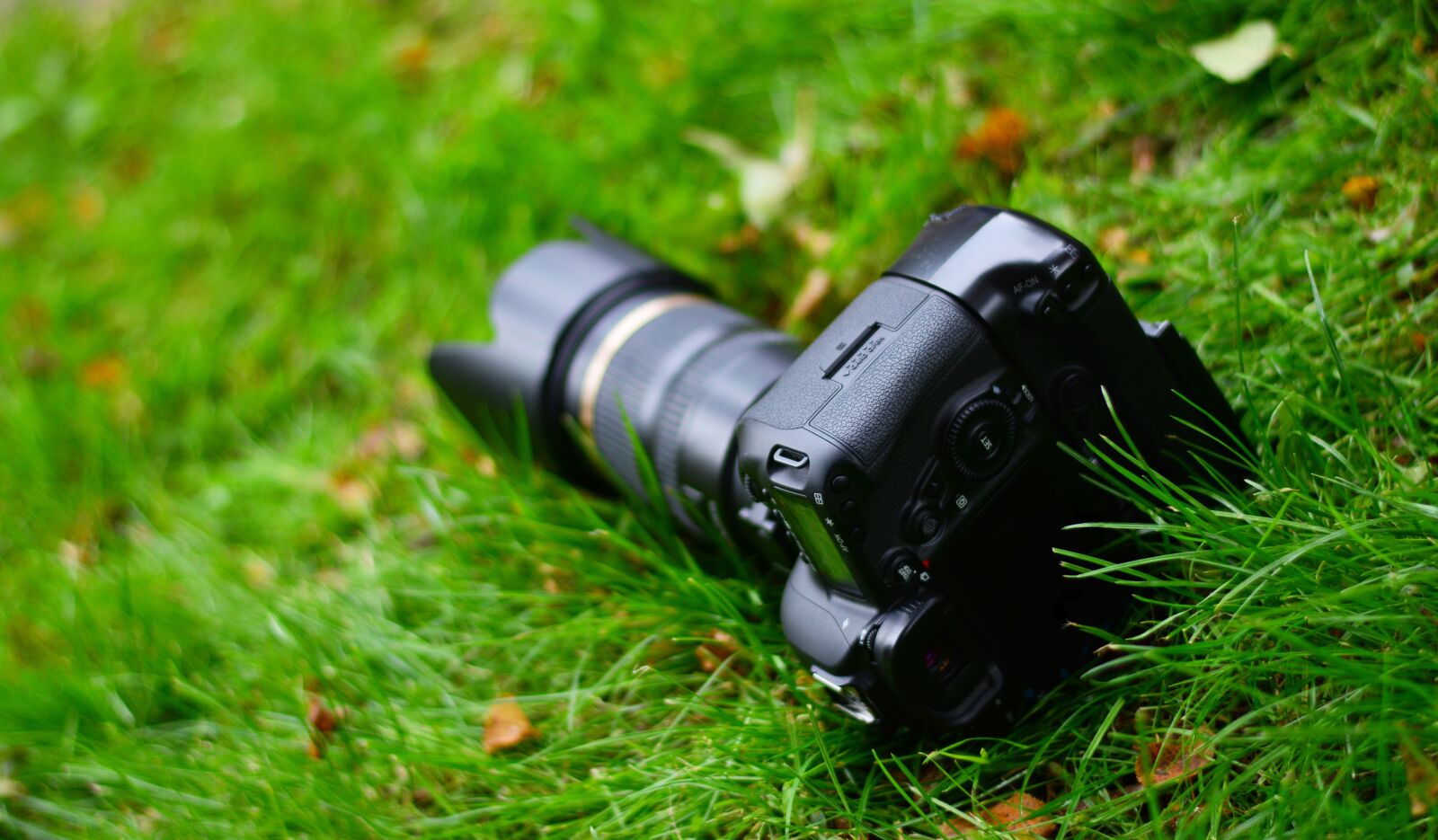 Nikon D5200 sample photo. Camera, photography, photograph photography