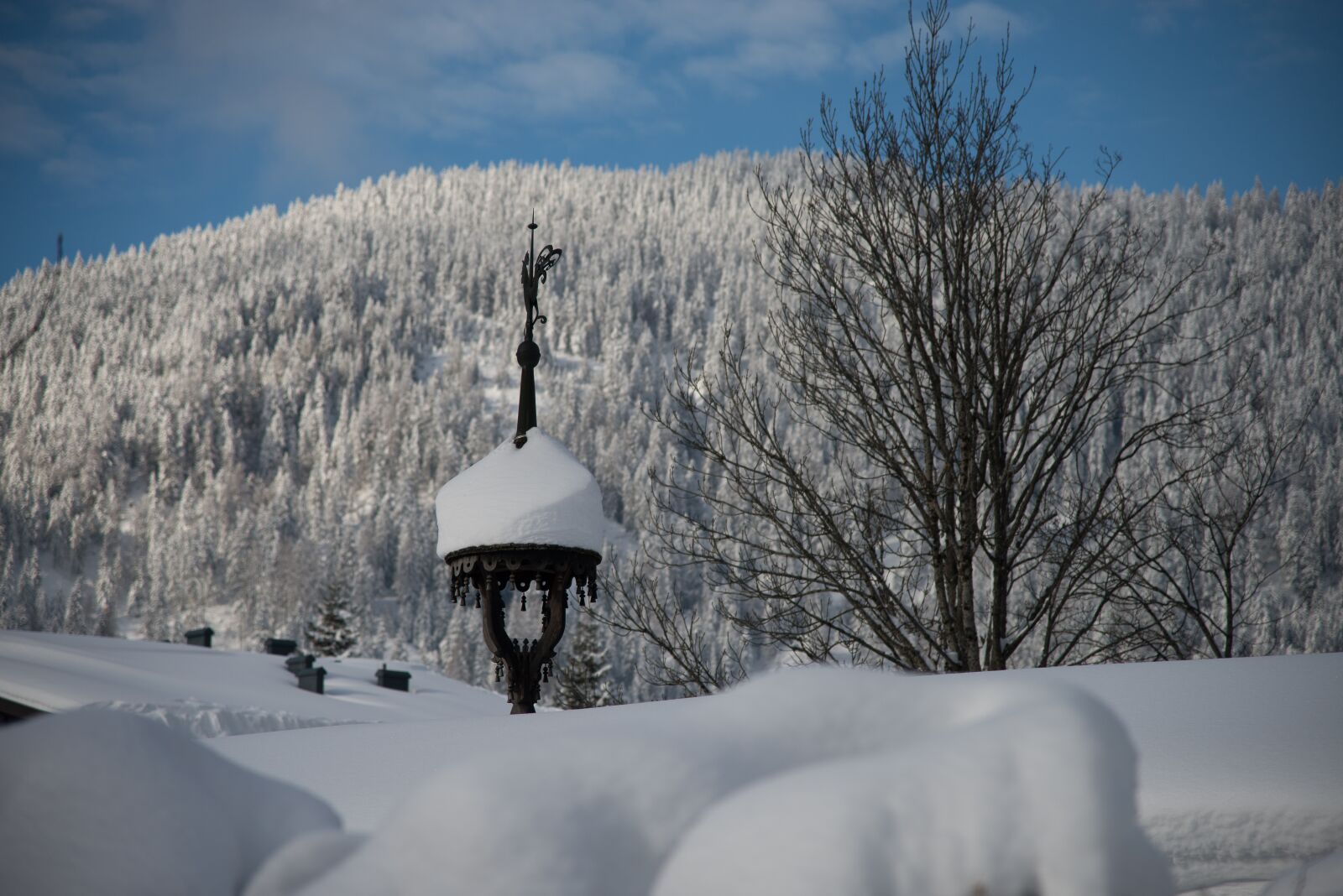 Nikon D800 sample photo. Winter, snow, nature photography