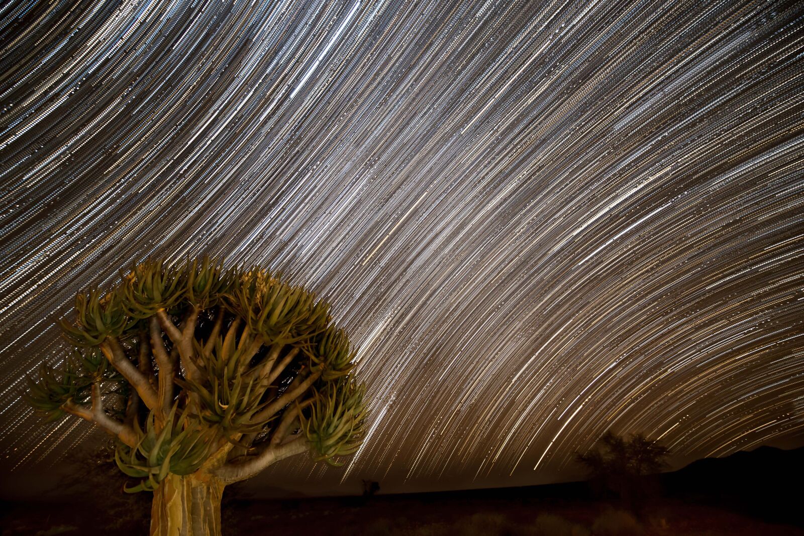 Nikon D750 + Tamron SP 15-30mm F2.8 Di VC USD sample photo. Namibia, startrail, milky way photography