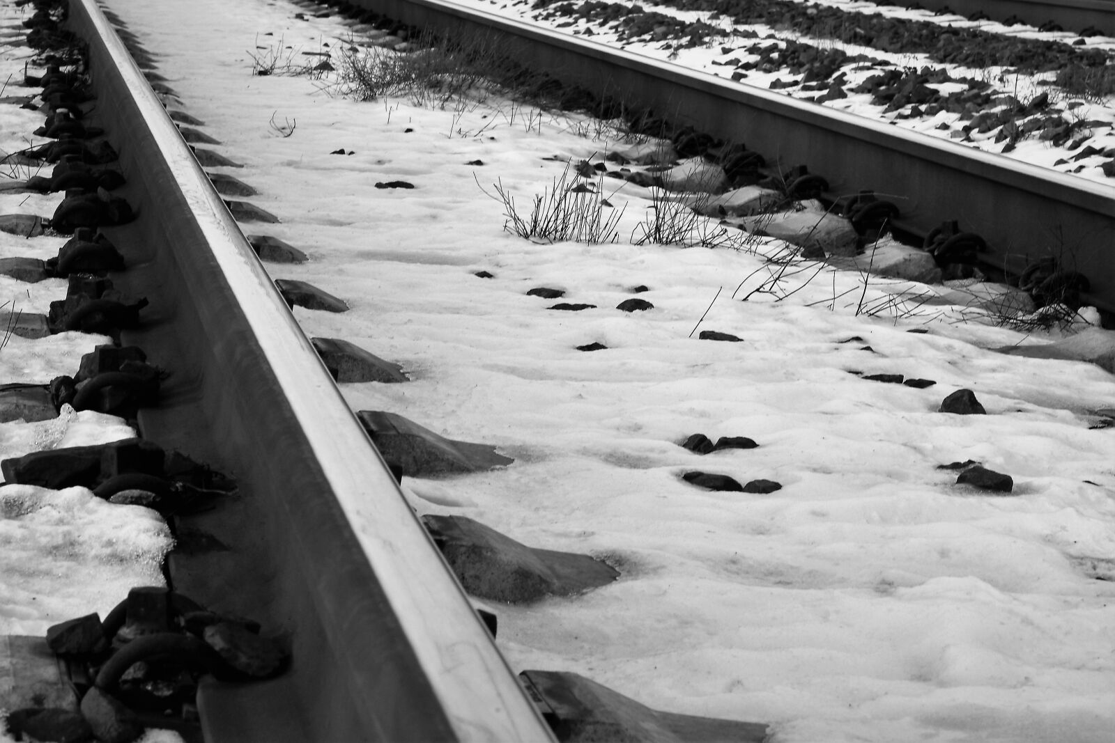 Nikon D5600 sample photo. Railroad in winter, snow photography
