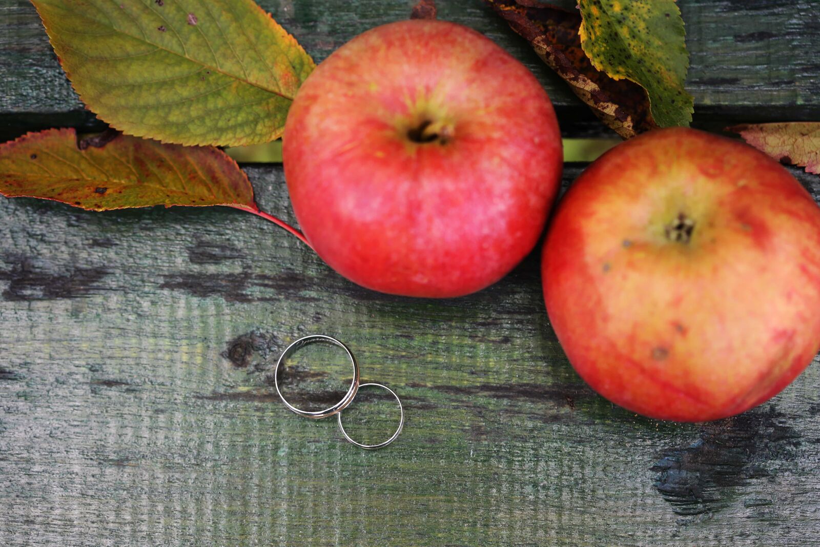 Canon EF 100mm F2.8 Macro USM sample photo. Apples, autumn season, rings photography