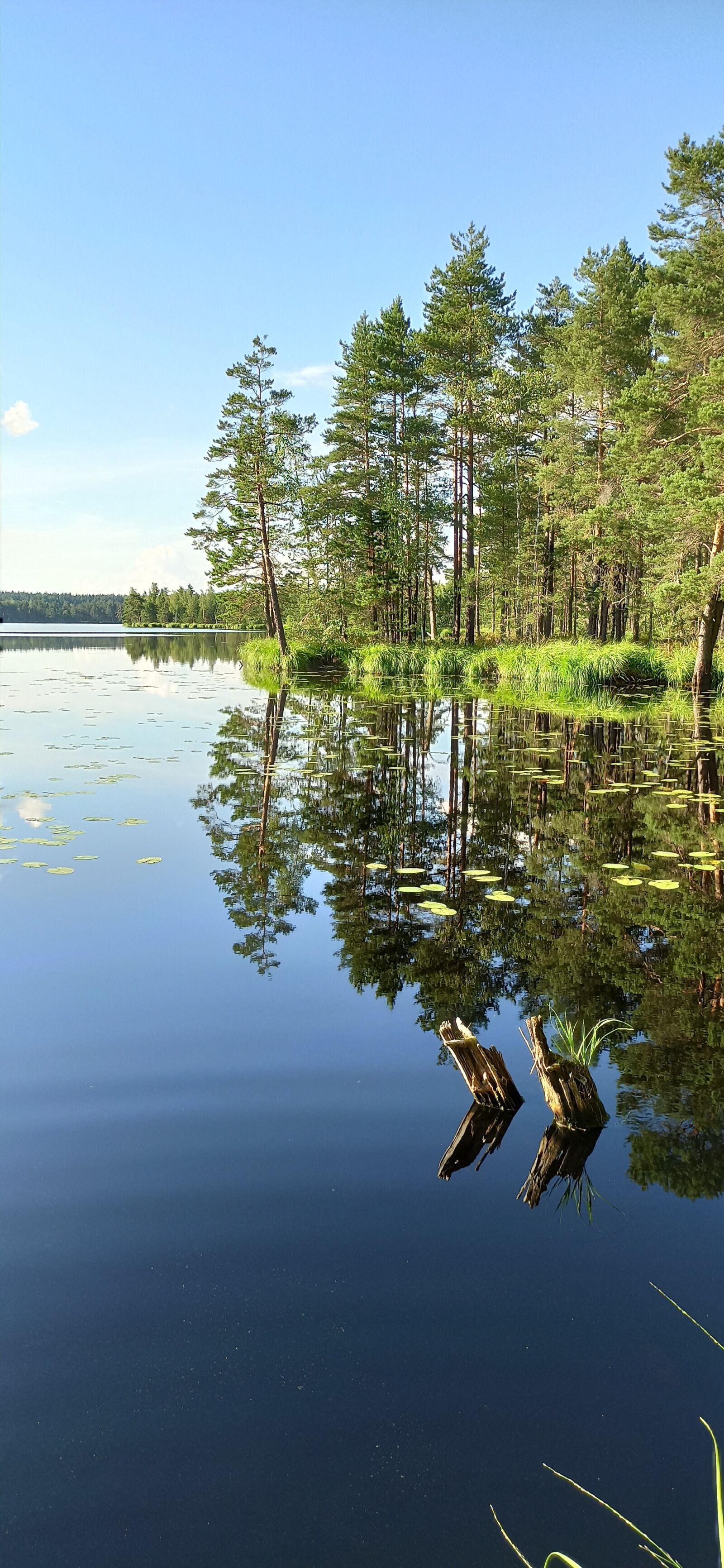 Xiaomi Redmi Note 8 Pro sample photo. лес, вода, озеро photography