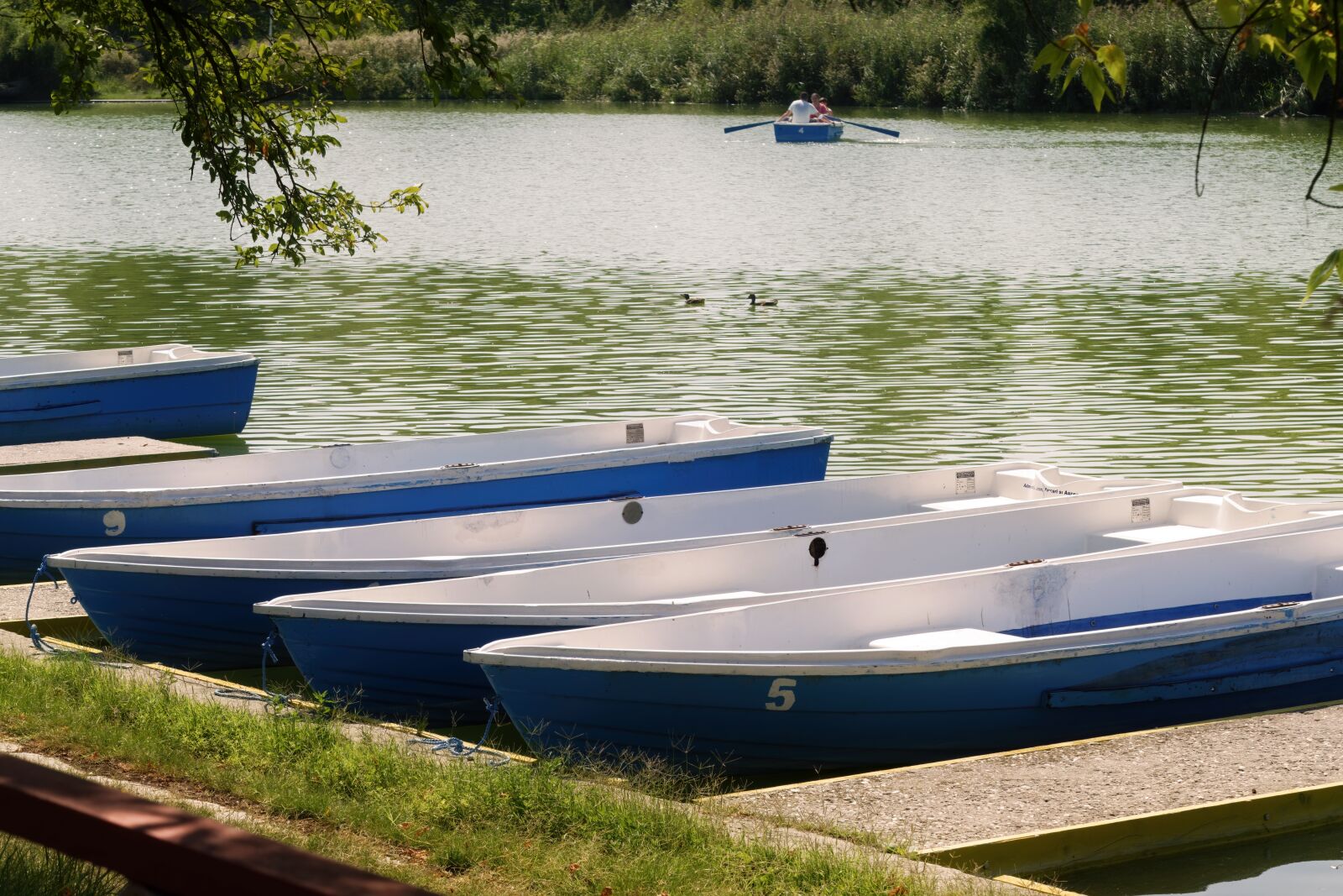 Nikon D5300 sample photo. Lake, boats, canoe photography
