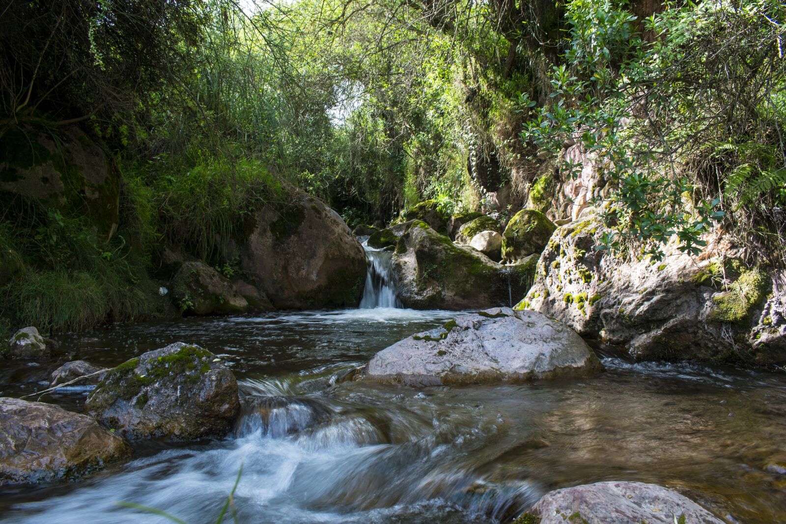 Nikon D3500 sample photo. Peru, moray, ollantaytambo photography