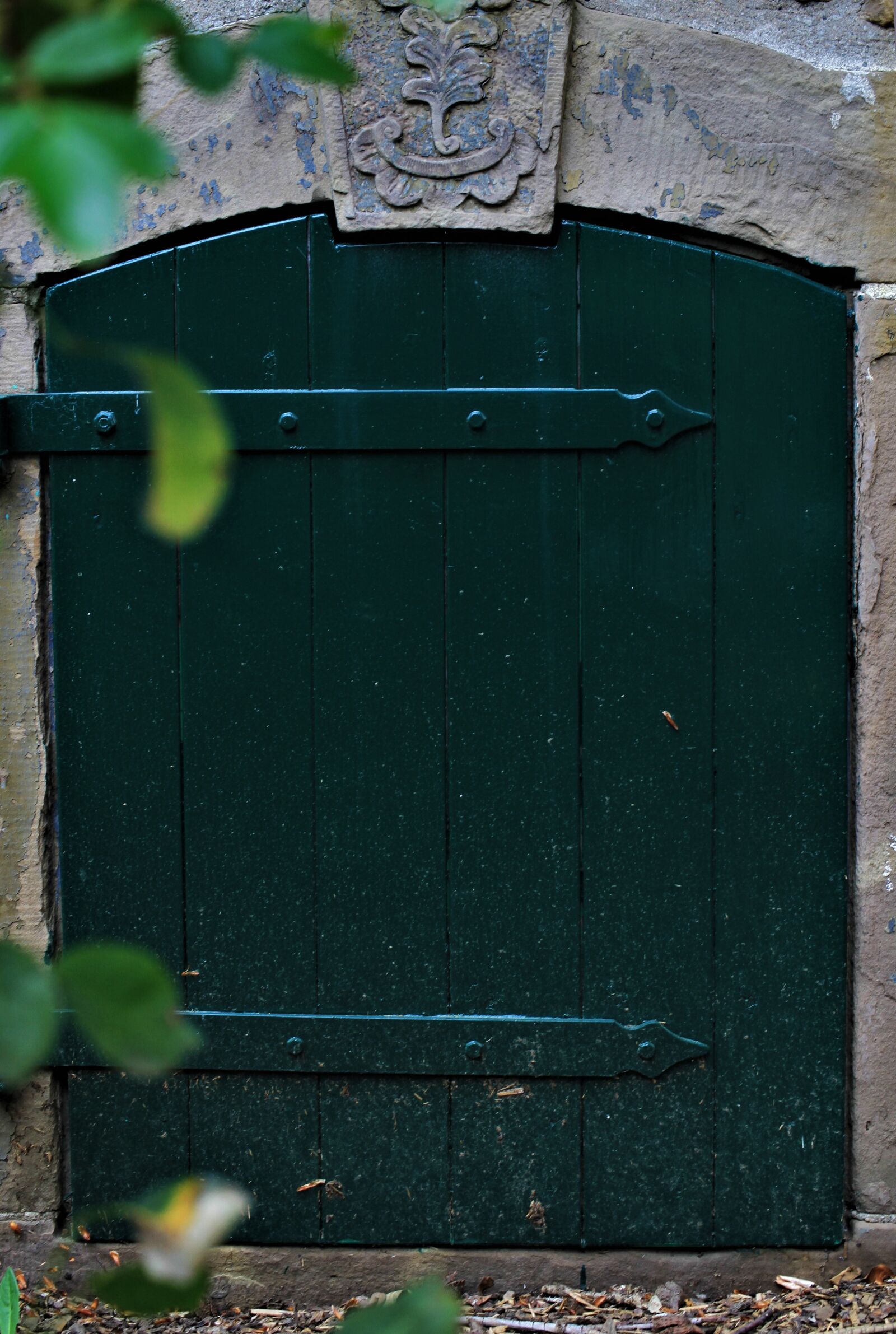 Canon EF-S 35mm F2.8 Macro IS STM sample photo. Door, old, green photography