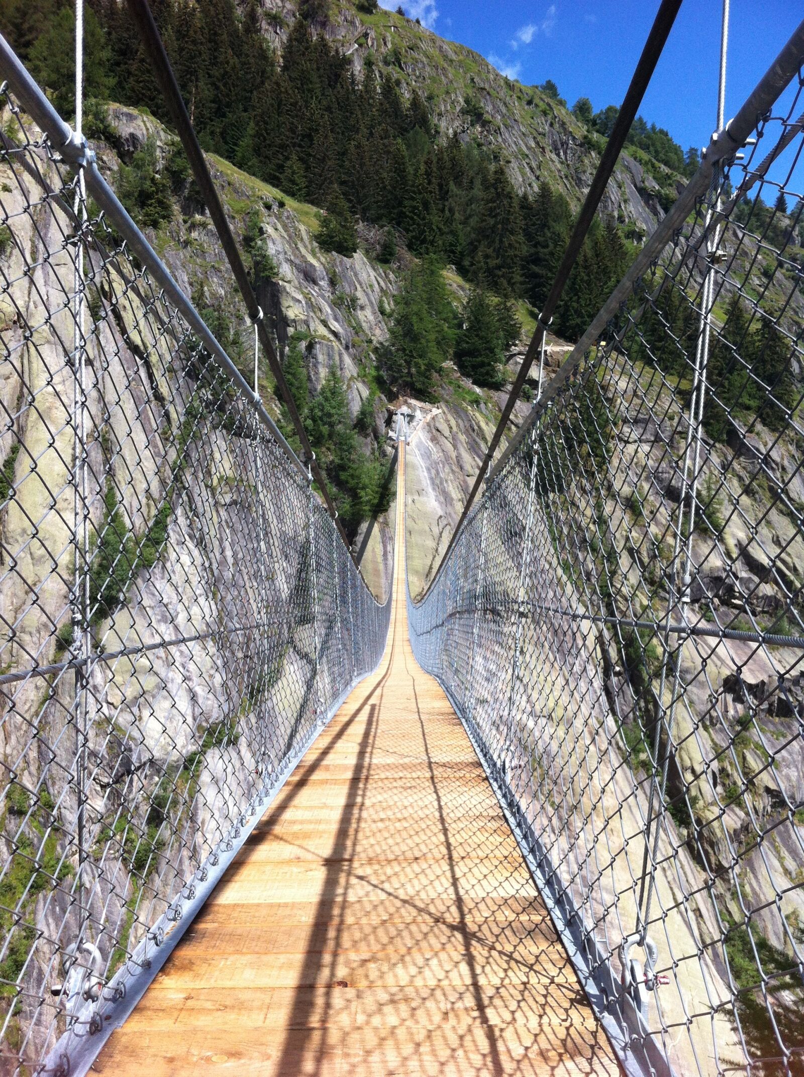 Apple iPhone 4 + iPhone 4 back camera 3.85mm f/2.8 sample photo. Suspension bridge, nature, landscape photography