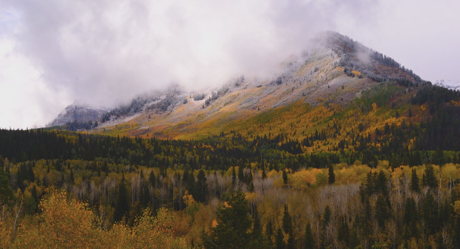 Nikon D3100 sample photo. Sweeping, mountain, fog photography