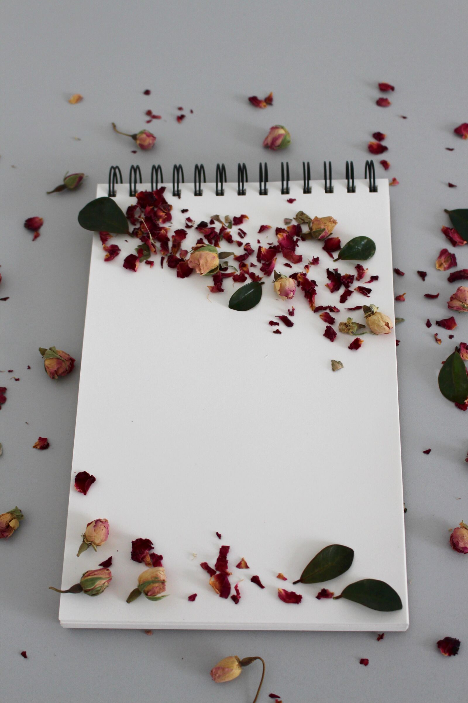 Canon EOS 700D (EOS Rebel T5i / EOS Kiss X7i) sample photo. Background, notebook, note photography