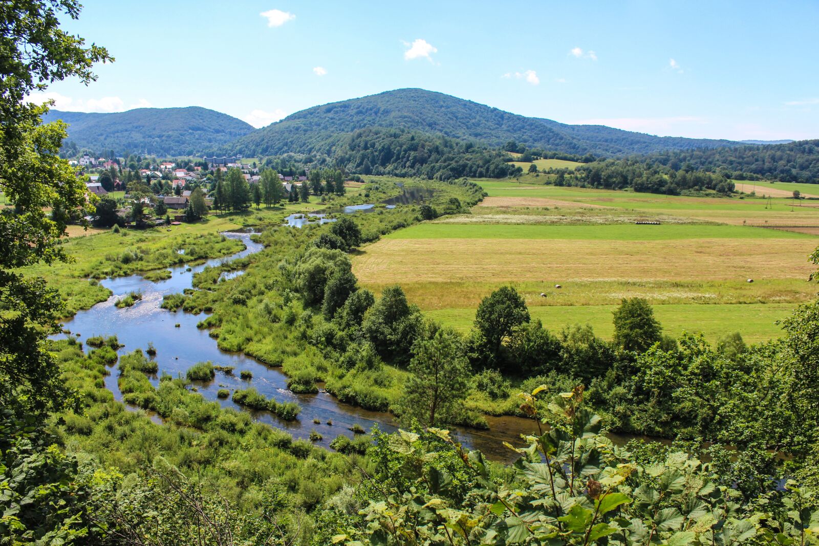 Canon EOS 1200D (EOS Rebel T5 / EOS Kiss X70 / EOS Hi) sample photo. Bieszczady, summer, poland photography