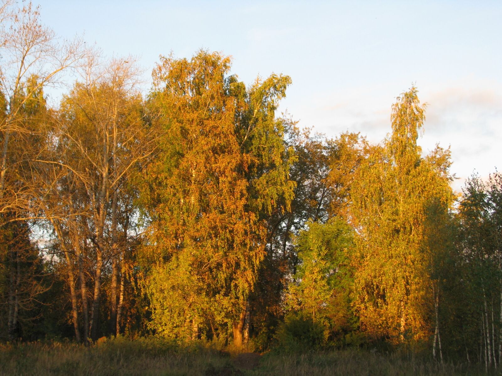 Canon POWERSHOT S5 IS sample photo. Golden autumn, silence, blue photography