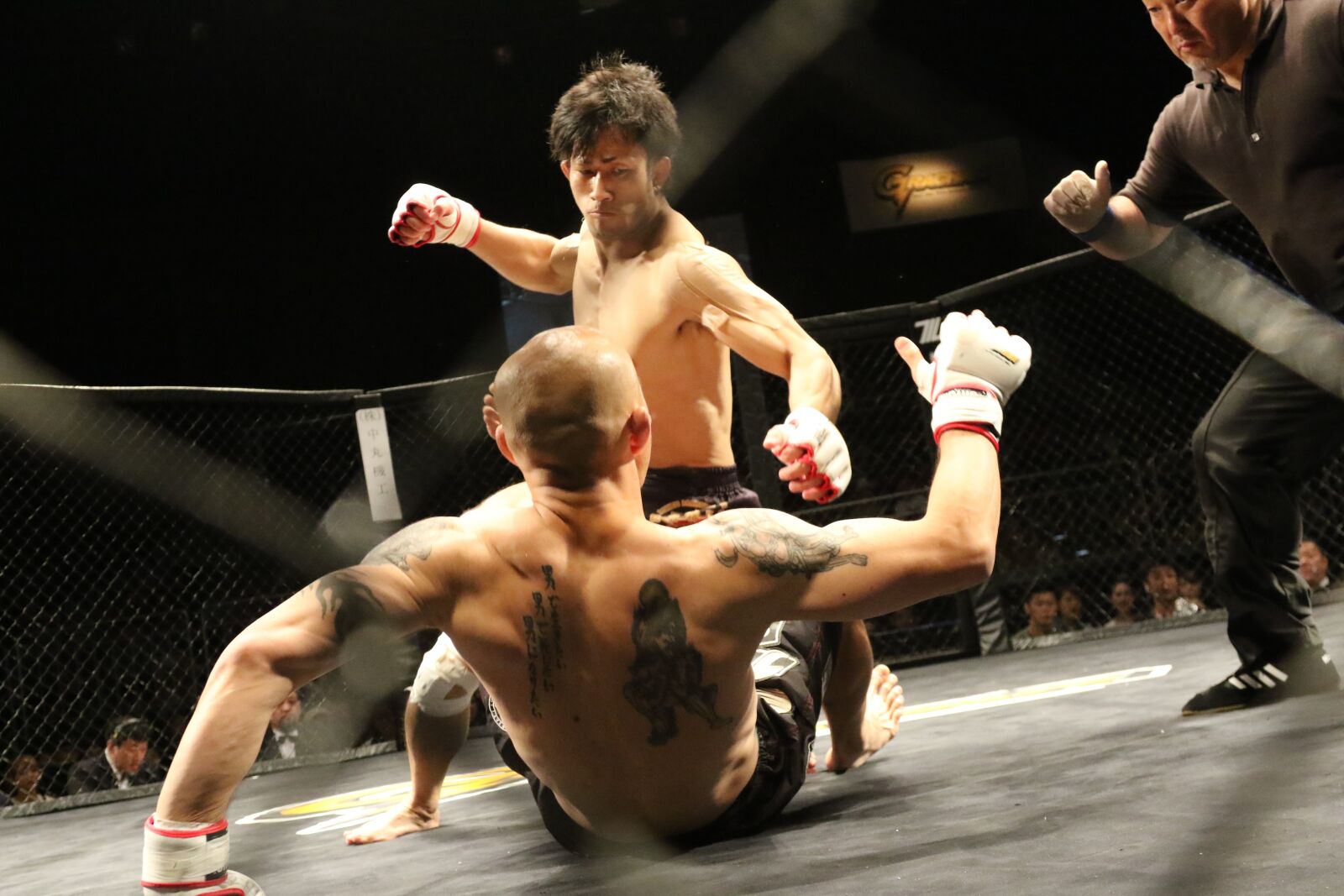 Canon EOS 7D Mark II sample photo. Mixed martial arts, sport photography