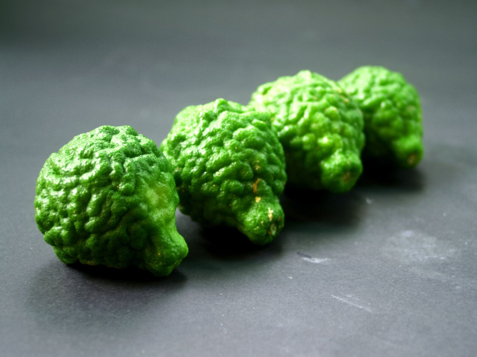 Olympus E-300 (EVOLT E-300) sample photo. Bergamot, fruit, leaf photography