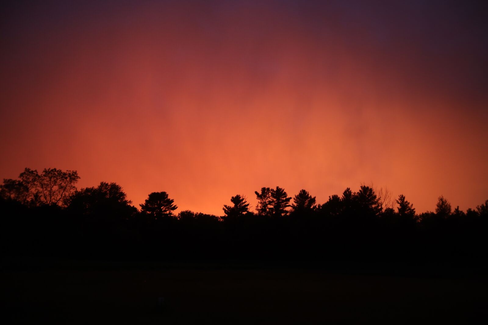 Canon EOS M50 (EOS Kiss M) sample photo. Sunset, pink, yellow photography