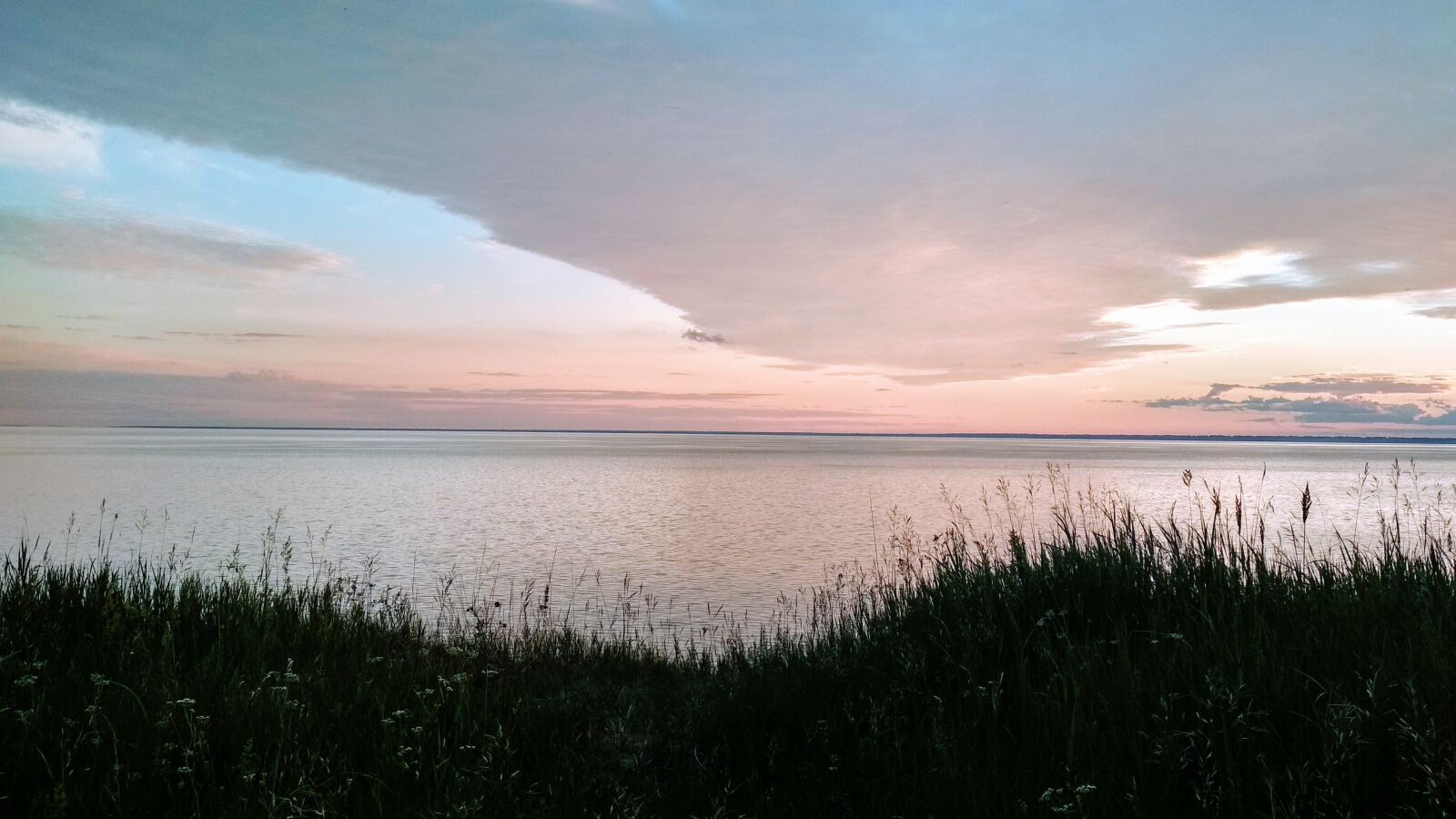 Xiaomi Redmi 4X sample photo. Sky, green, nature photography