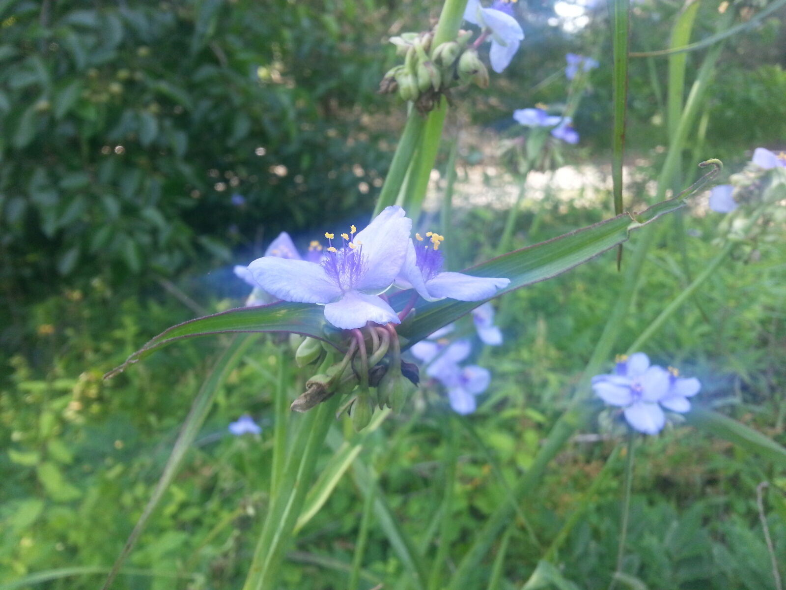 Samsung Galaxy Note2 sample photo