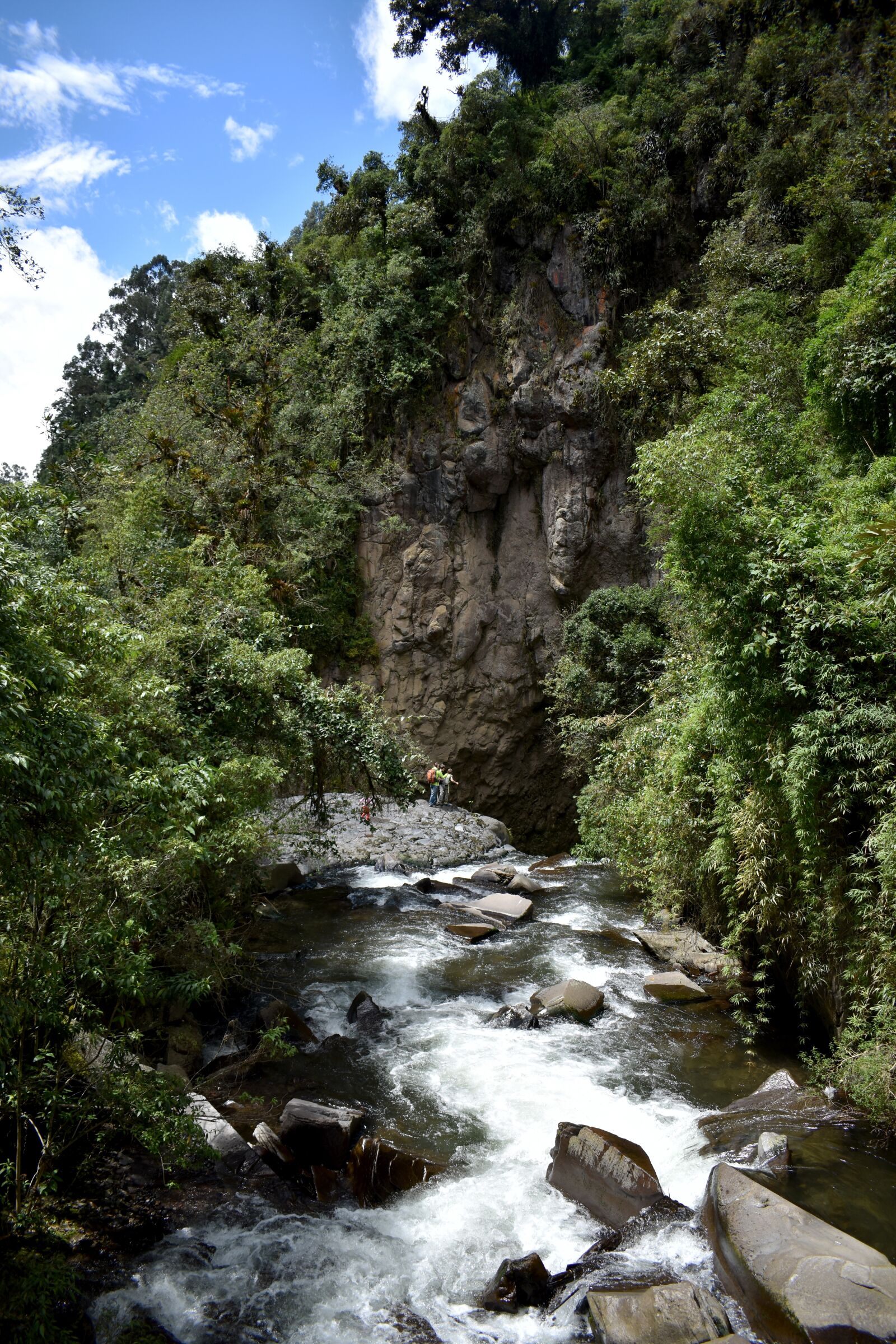 Nikon D3500 sample photo. Jungle, green, water photography