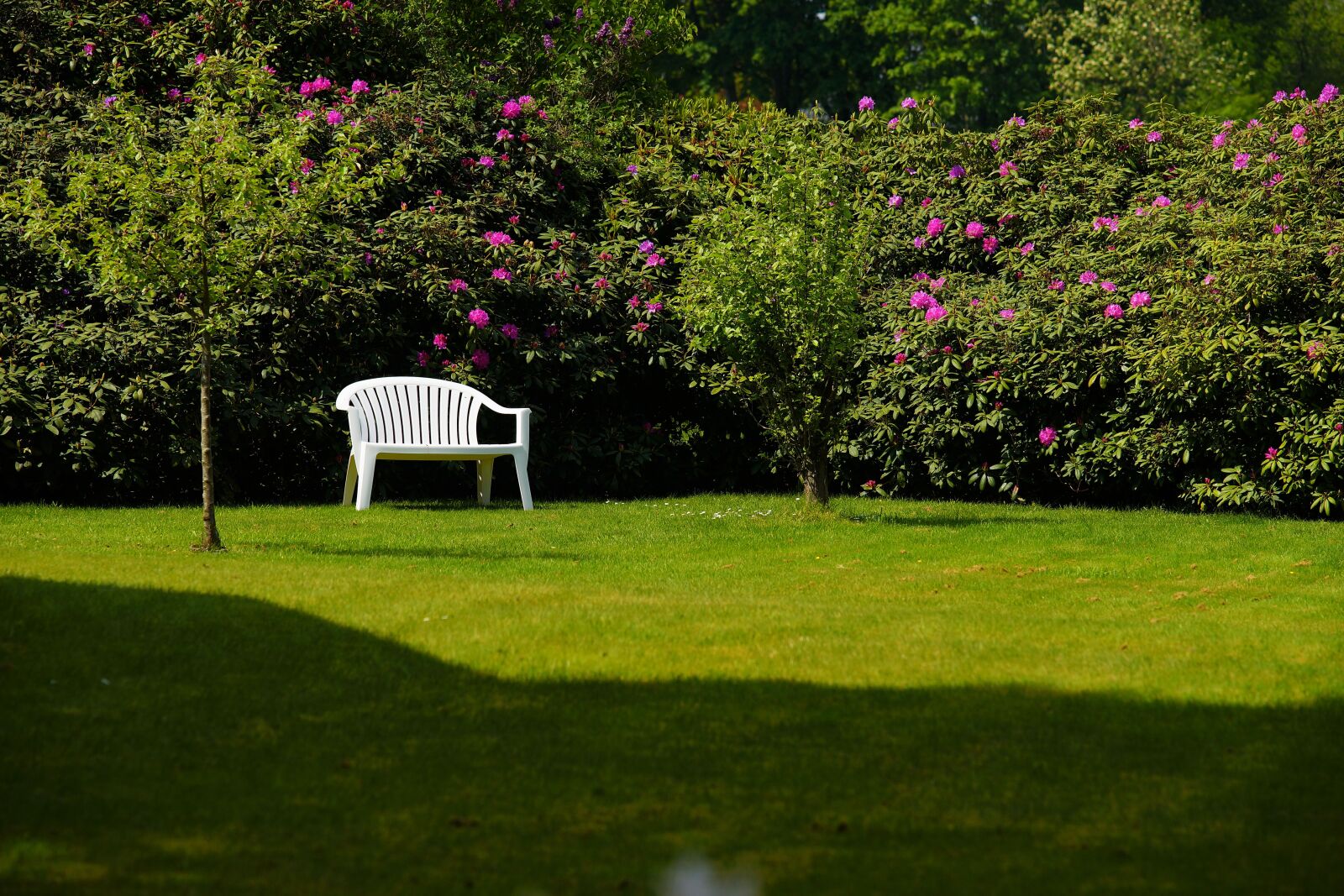 Sony a99 II + Minolta AF 80-200mm F2.8 HS-APO G sample photo. Garden, bench, relaxation photography