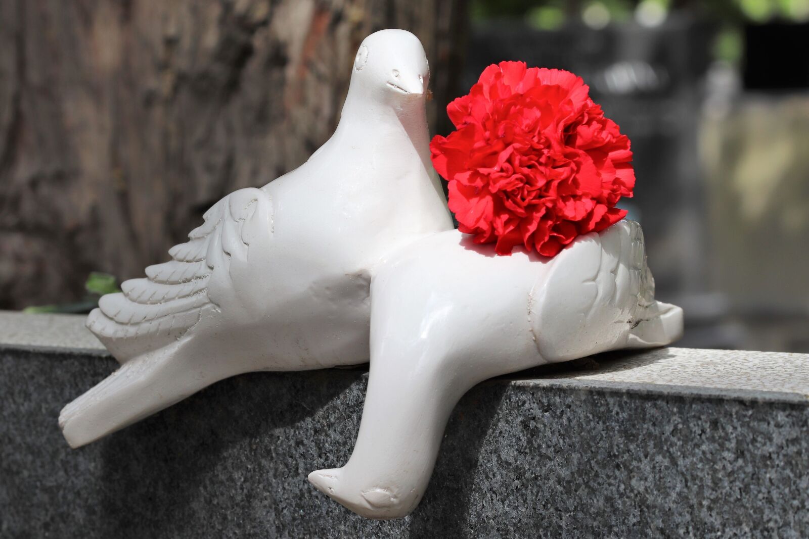 Canon EOS 200D (EOS Rebel SL2 / EOS Kiss X9) sample photo. White doves, red carnation photography