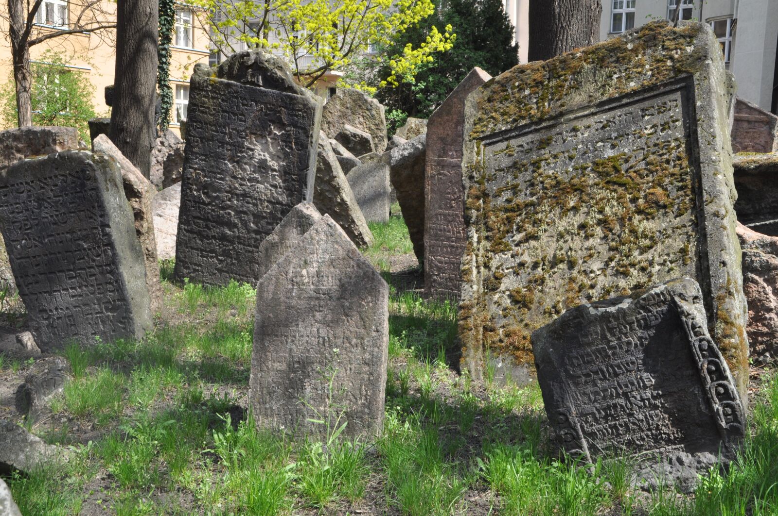 Nikon D5000 sample photo. Jewish cemetery, prague, old photography