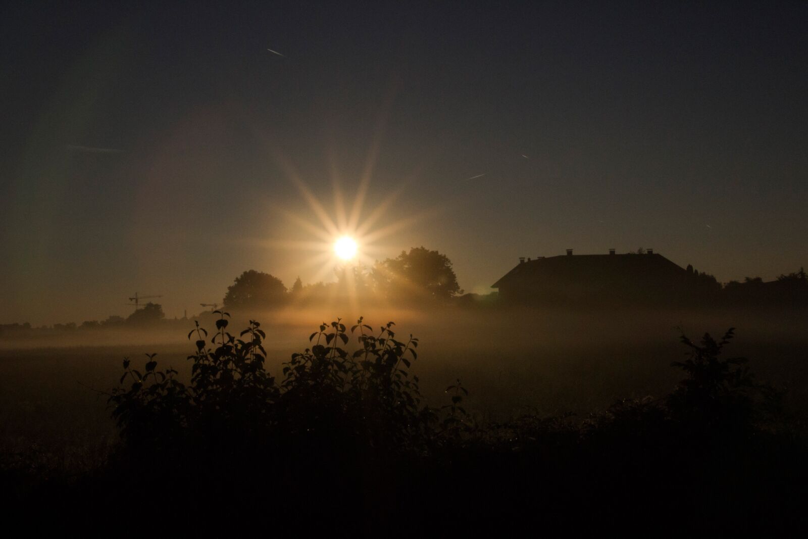 Canon EOS 600D (Rebel EOS T3i / EOS Kiss X5) sample photo. Fog, sunrise, sun photography