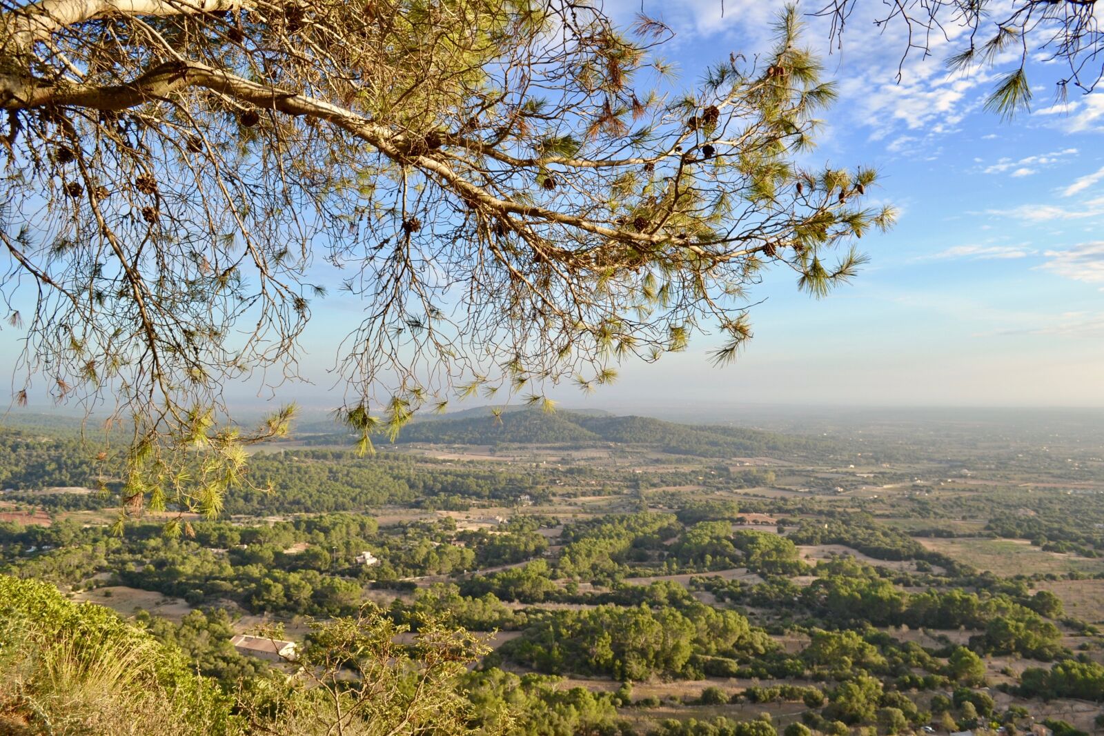 Nikon D3100 sample photo. Nature, height, landscape photography
