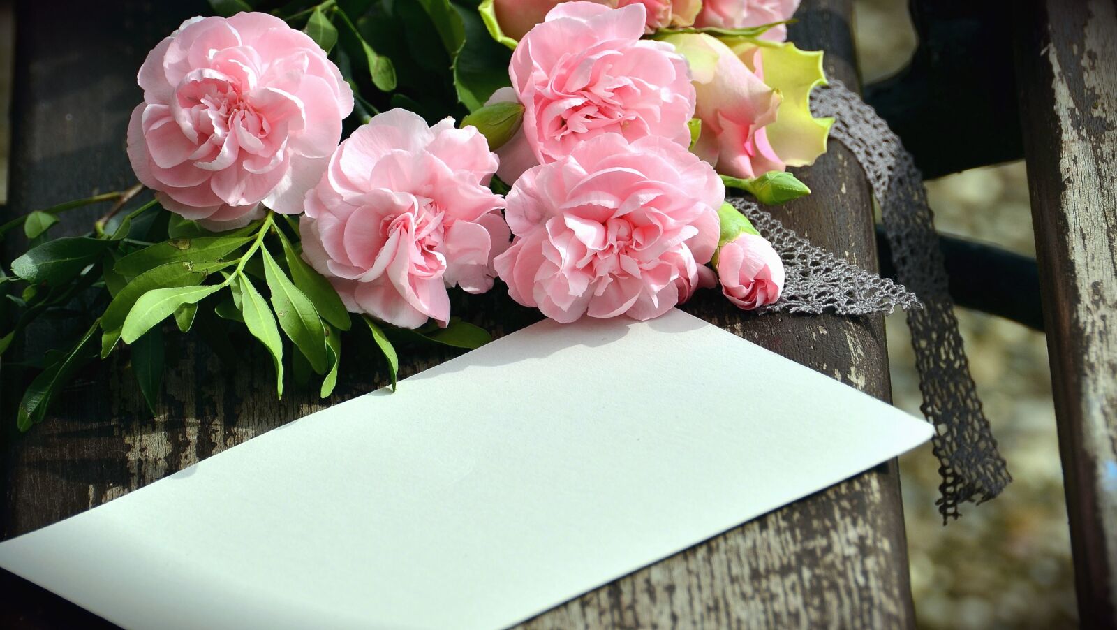 Nikon D5100 sample photo. Rose, love, bench, paper photography