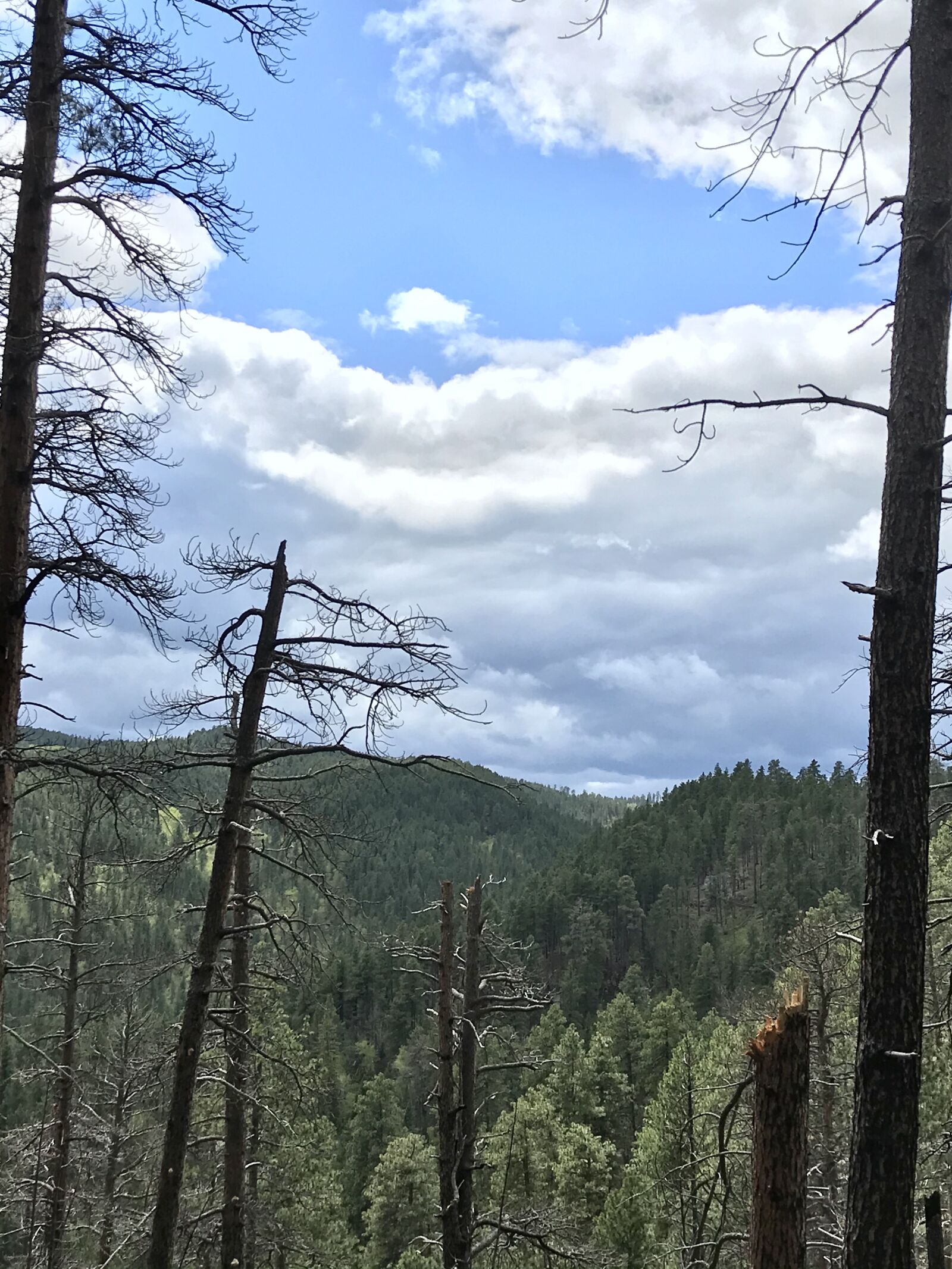 iPhone 7 back camera 3.99mm f/1.8 sample photo. Crow, peak, hike photography