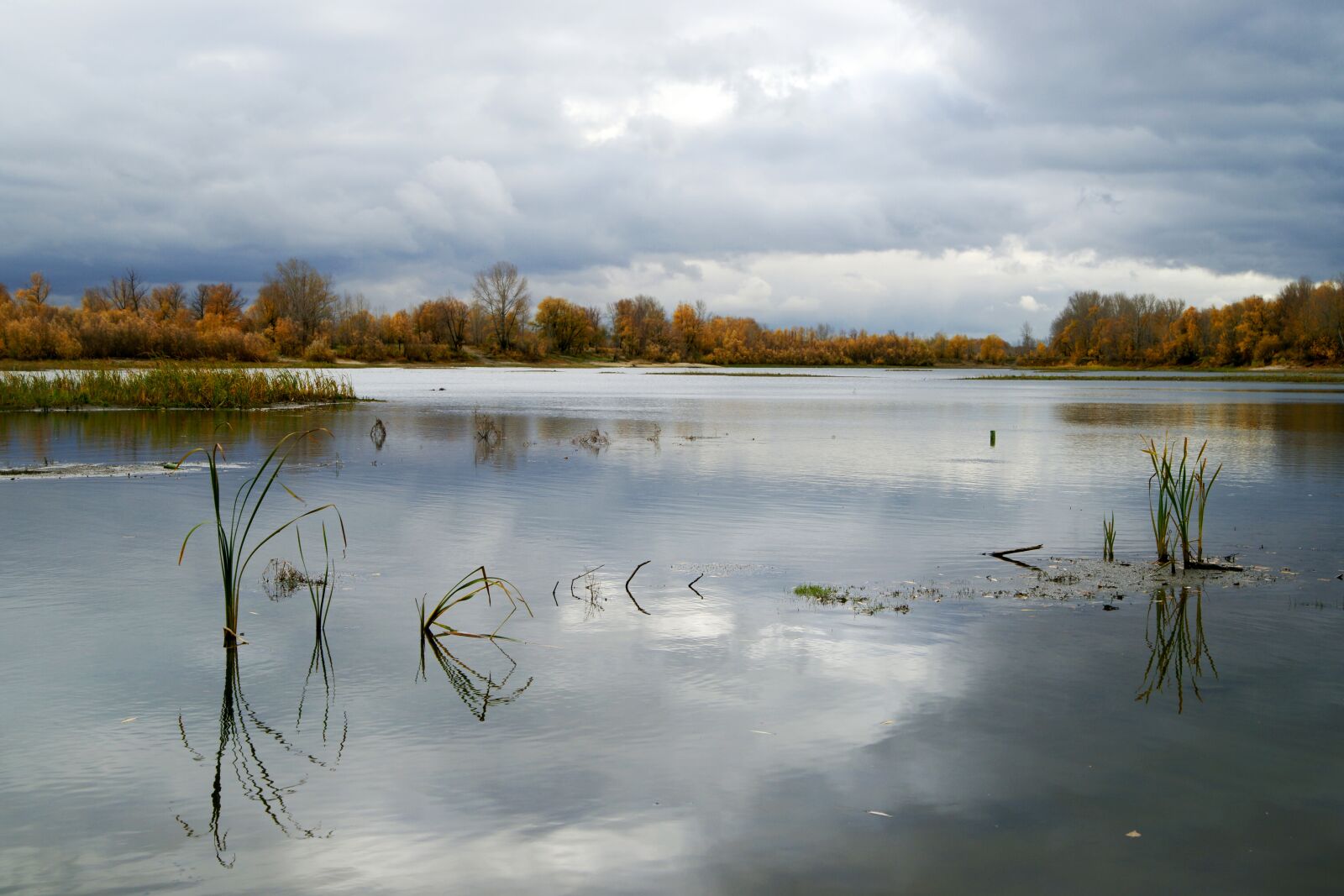 Sony Alpha DSLR-A850 sample photo. River, water, nature photography