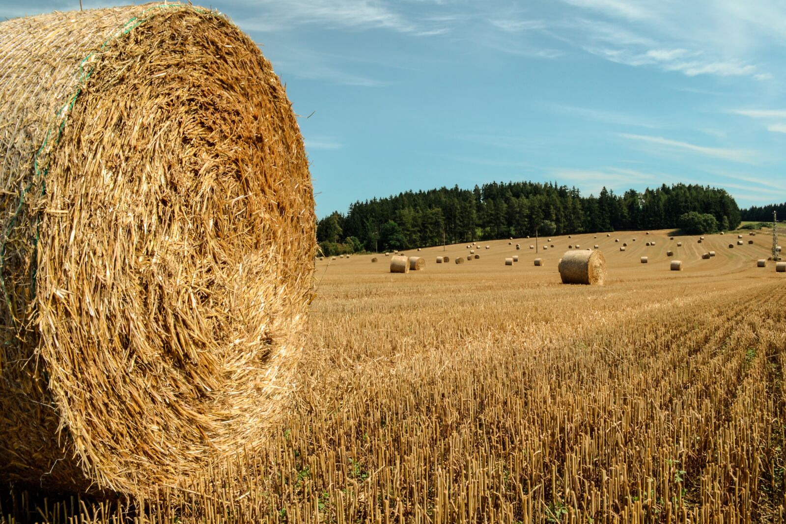 Nikon D3100 sample photo. Agriculture, field, straw photography