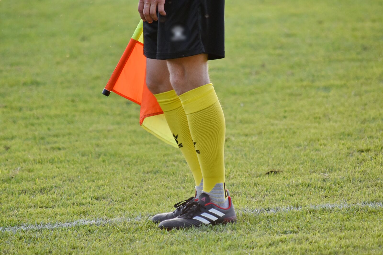 Nikon D5500 sample photo. Equipment, flag, soccer, sport photography