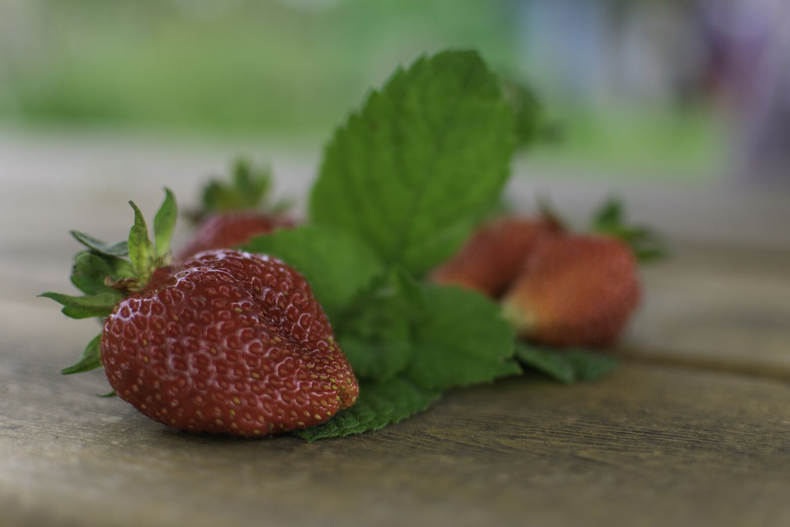 Nikon D3400 sample photo. Strawberry, harvest, garden photography