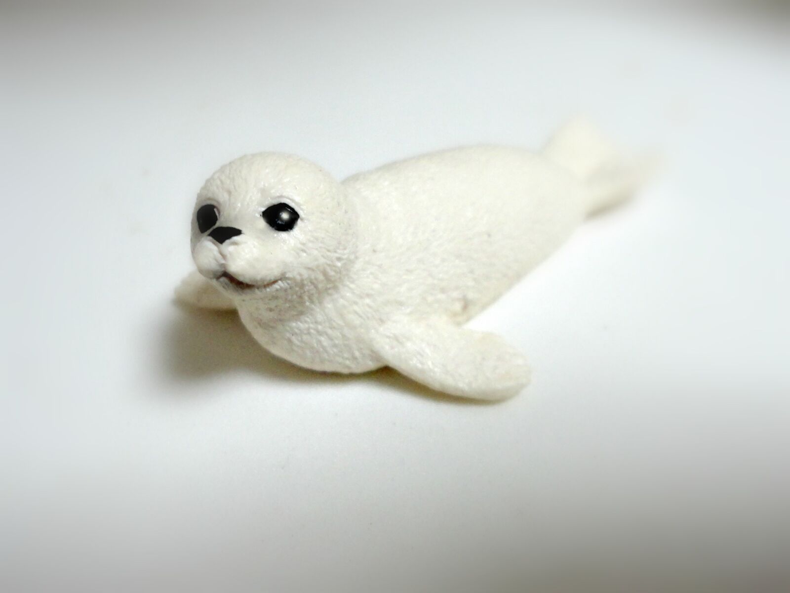 Sony DSC-W350 sample photo. "Seal, cub, white seal" photography