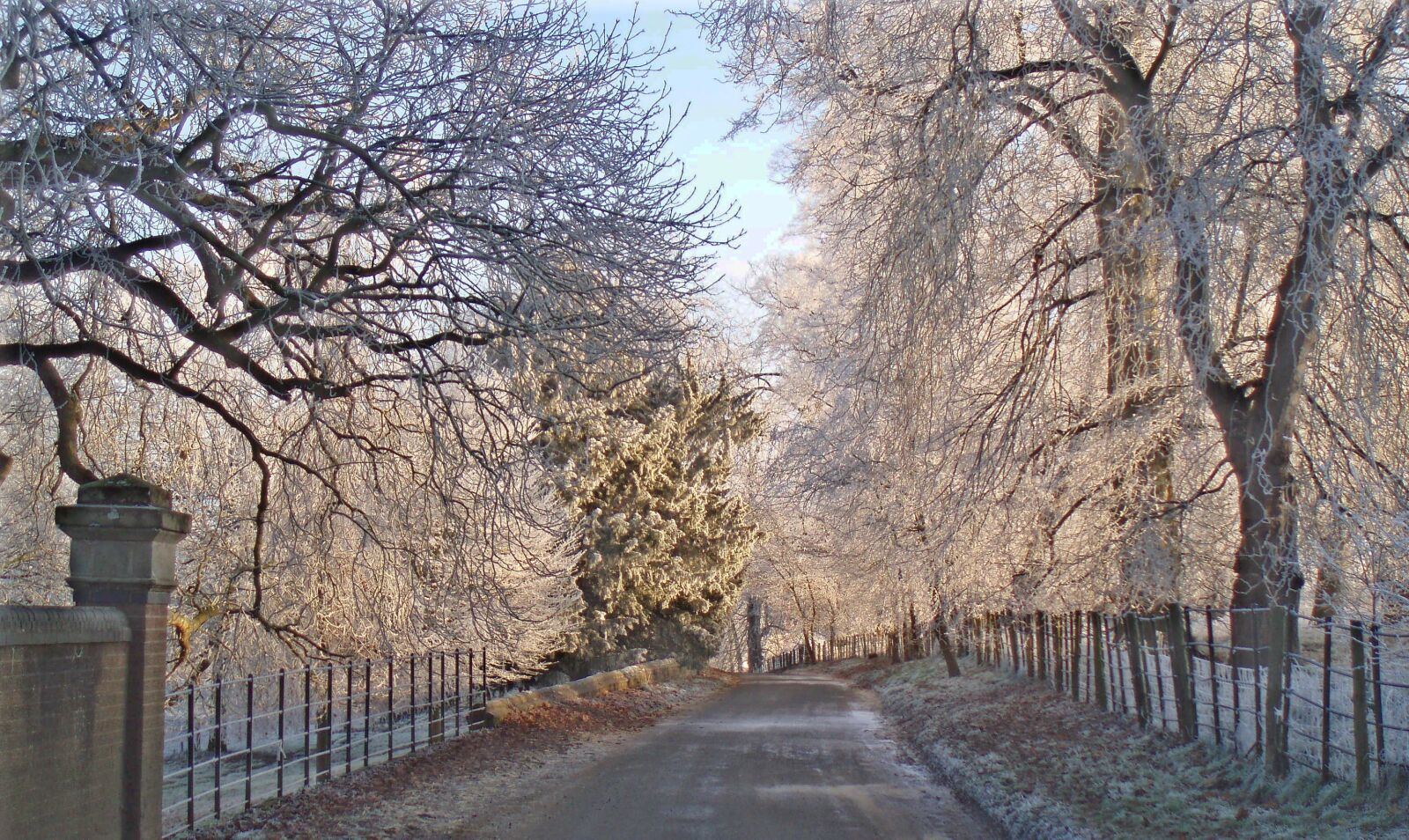 Olympus u710,S710 sample photo. Frost, warwickshire, winter photography