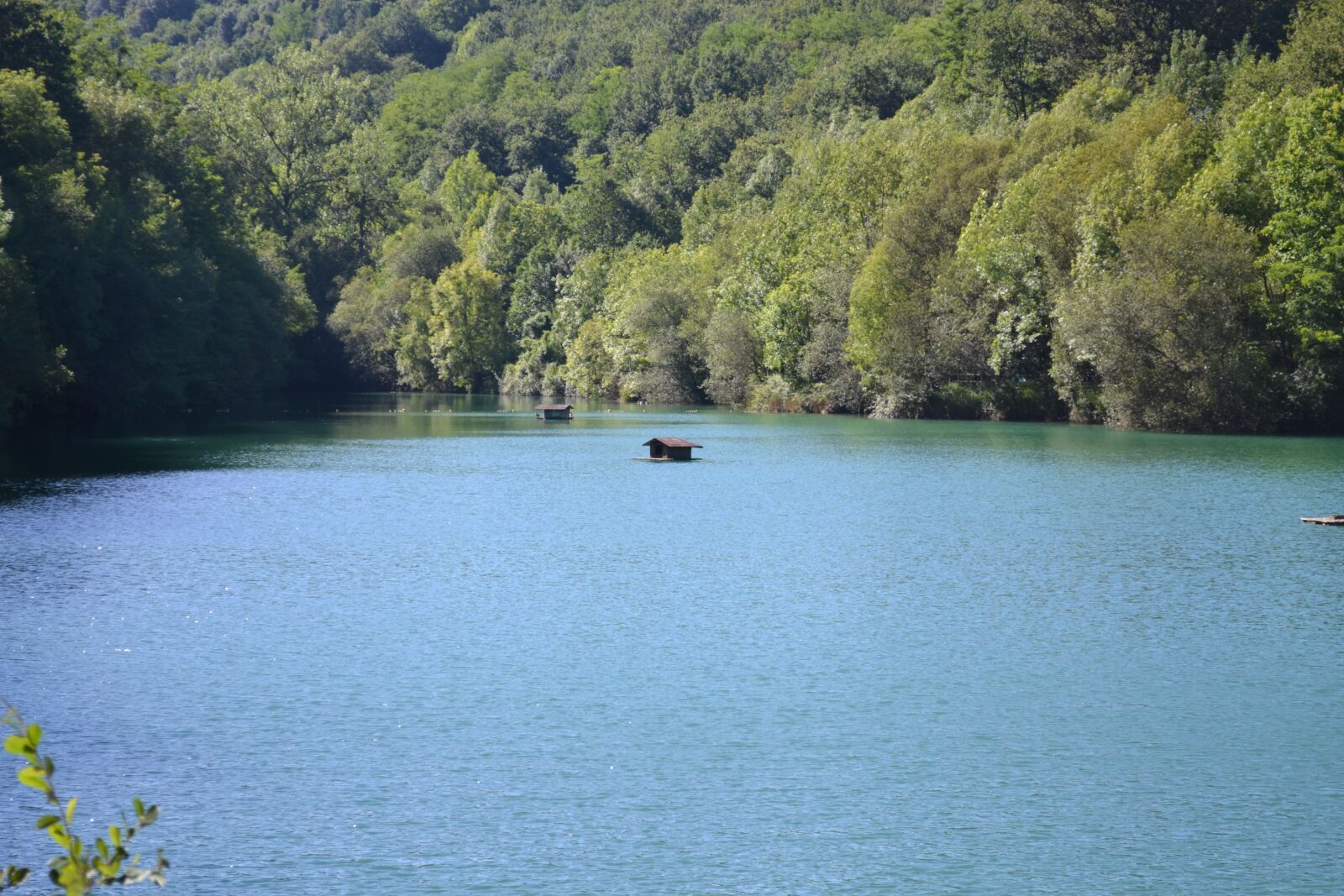 Nikon D3100 sample photo. Lake, dock, pier photography