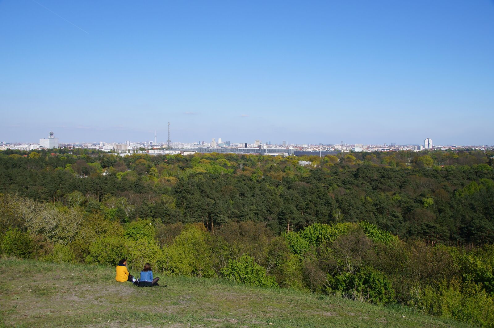 Sony SLT-A37 sample photo. Teufelsberg, berlin, forest photography