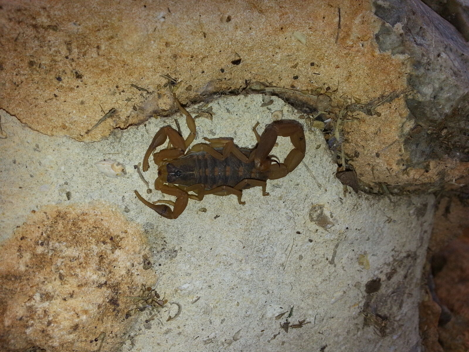 Samsung Galaxy Note2 sample photo