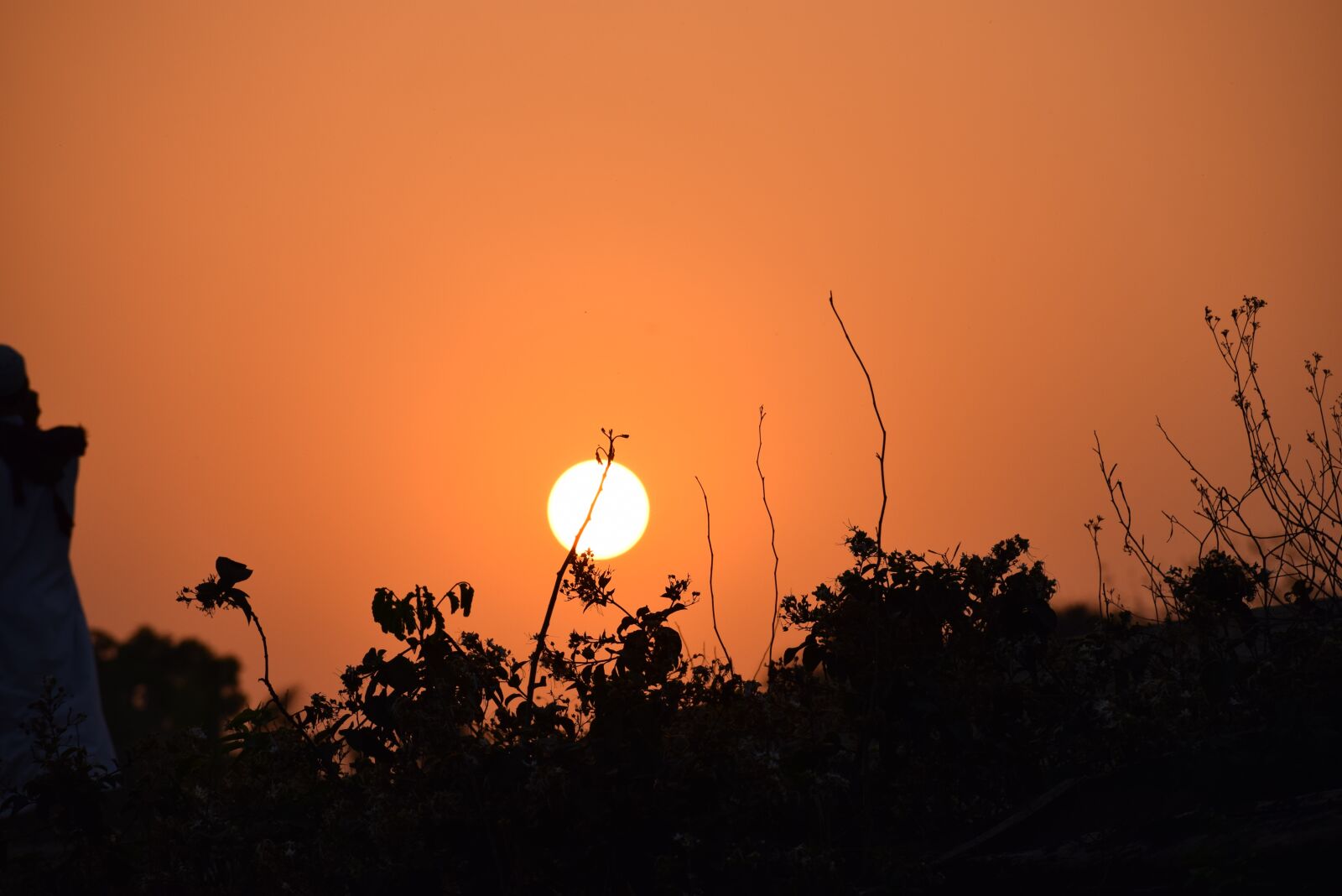 Nikon D5300 sample photo. Dominican, cana, landscape photography