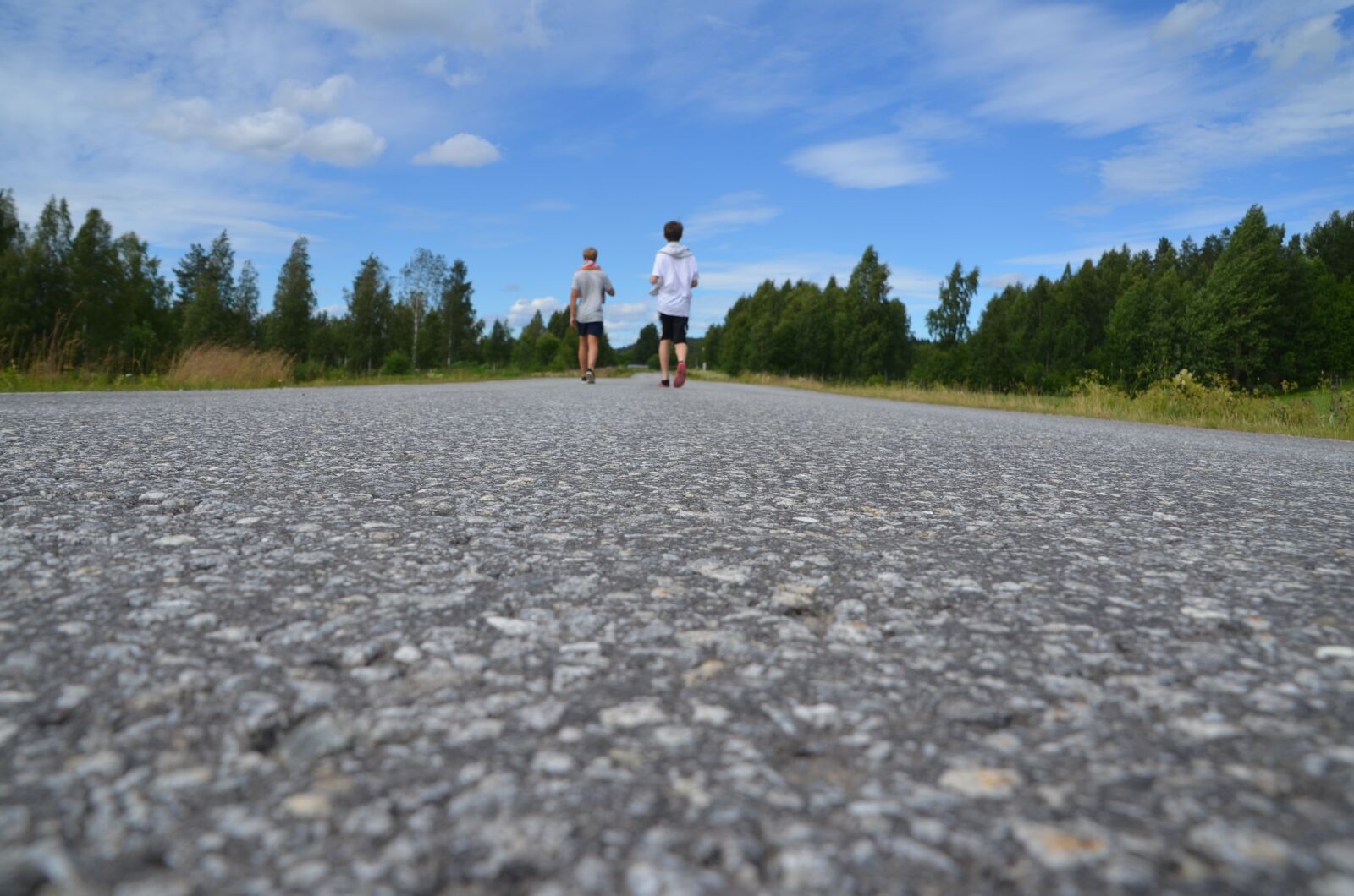 Nikon D5100 sample photo. Ultervattnet, road, walk photography