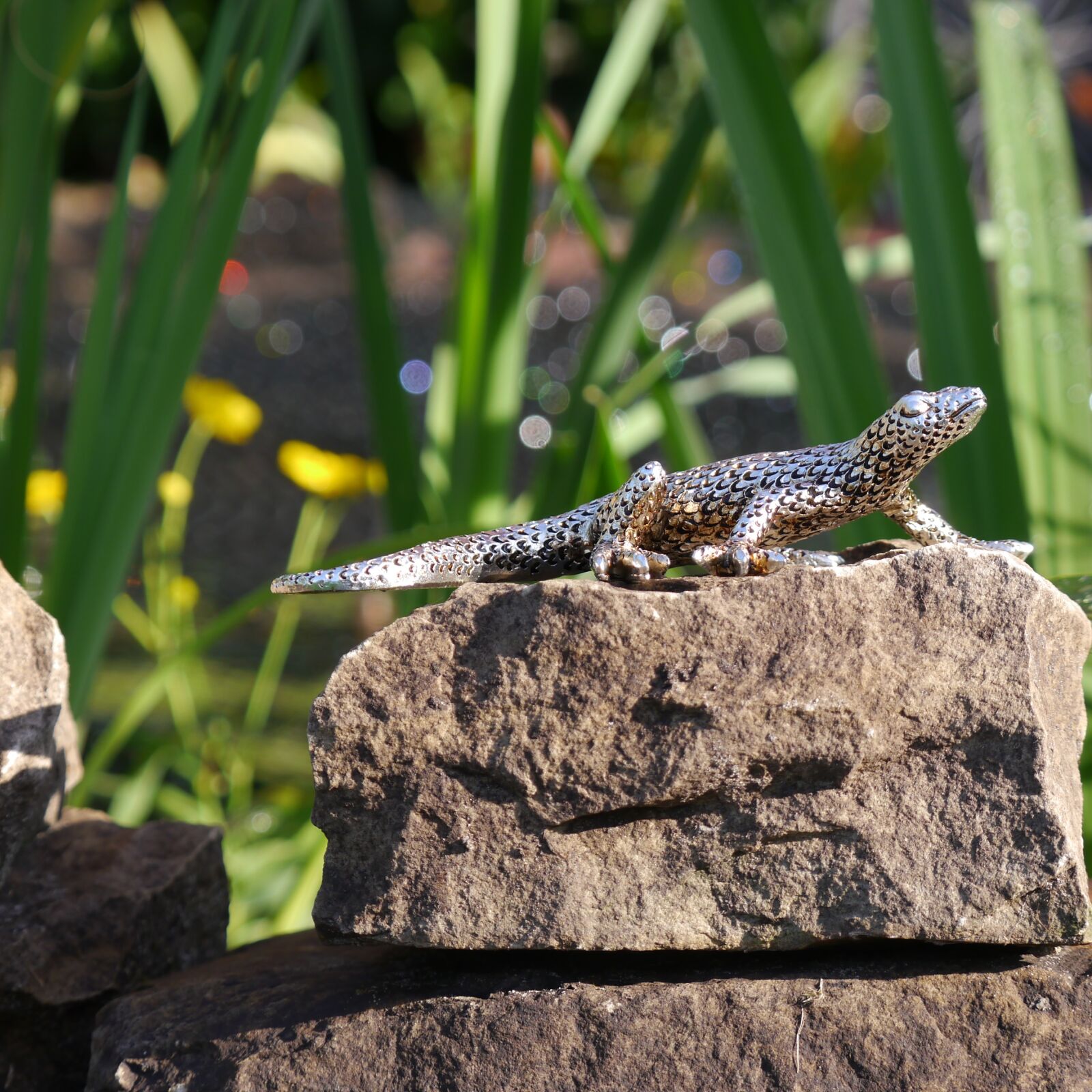 Panasonic Lumix DMC-G5 sample photo. Gecko, silver, decoration photography