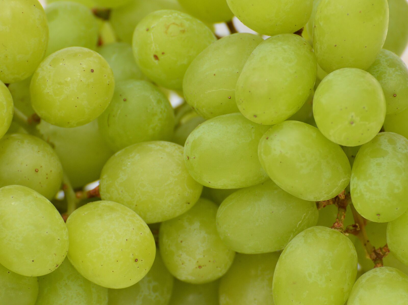 Nikon D3200 sample photo. Grapes, fruits, healthy photography