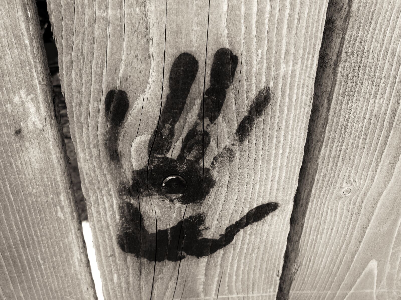 Sony Cyber-shot DSC-W830 sample photo. Imprint of the hand photography