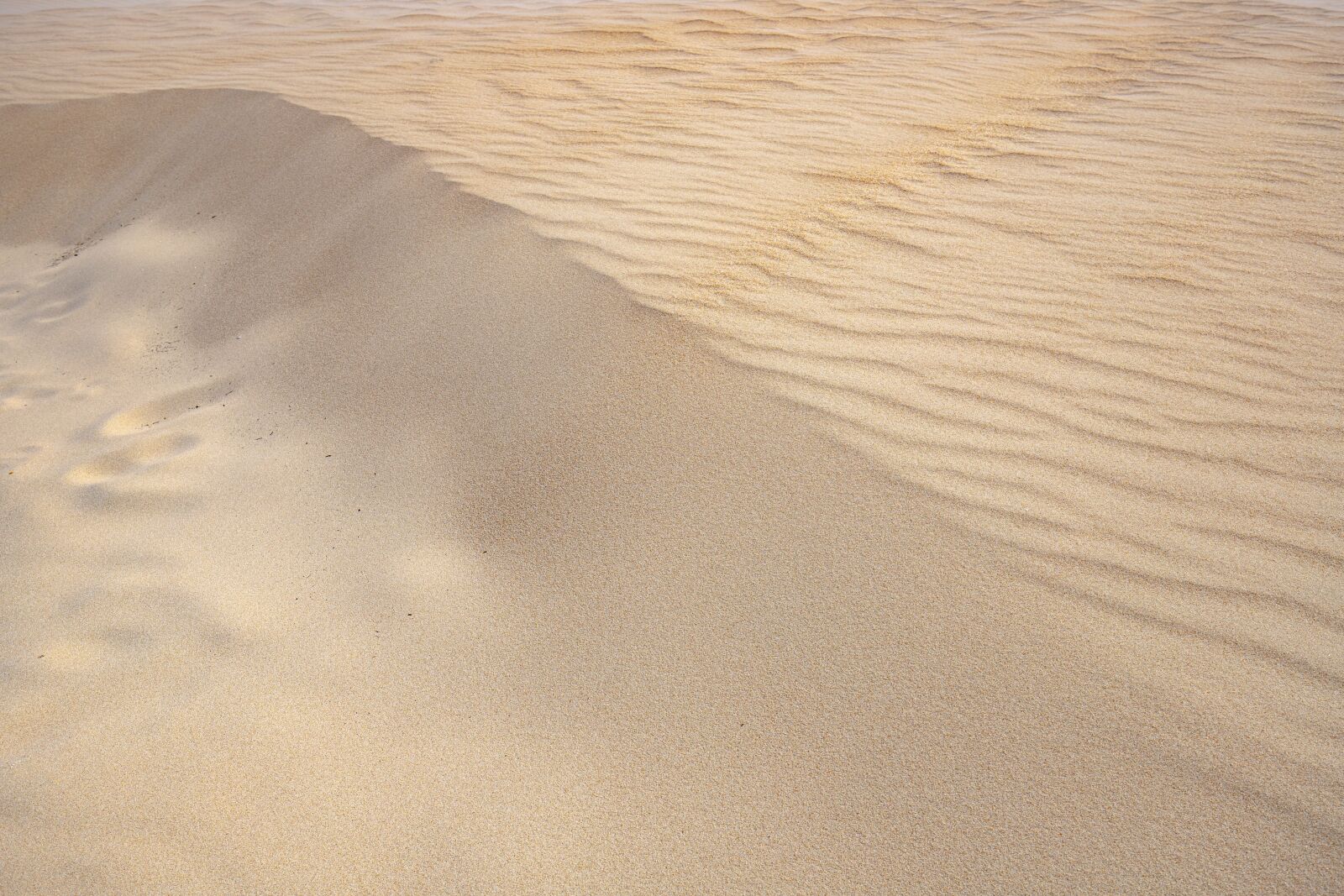 Canon EF 16-35mm F4L IS USM sample photo. Sand, beach, sea photography