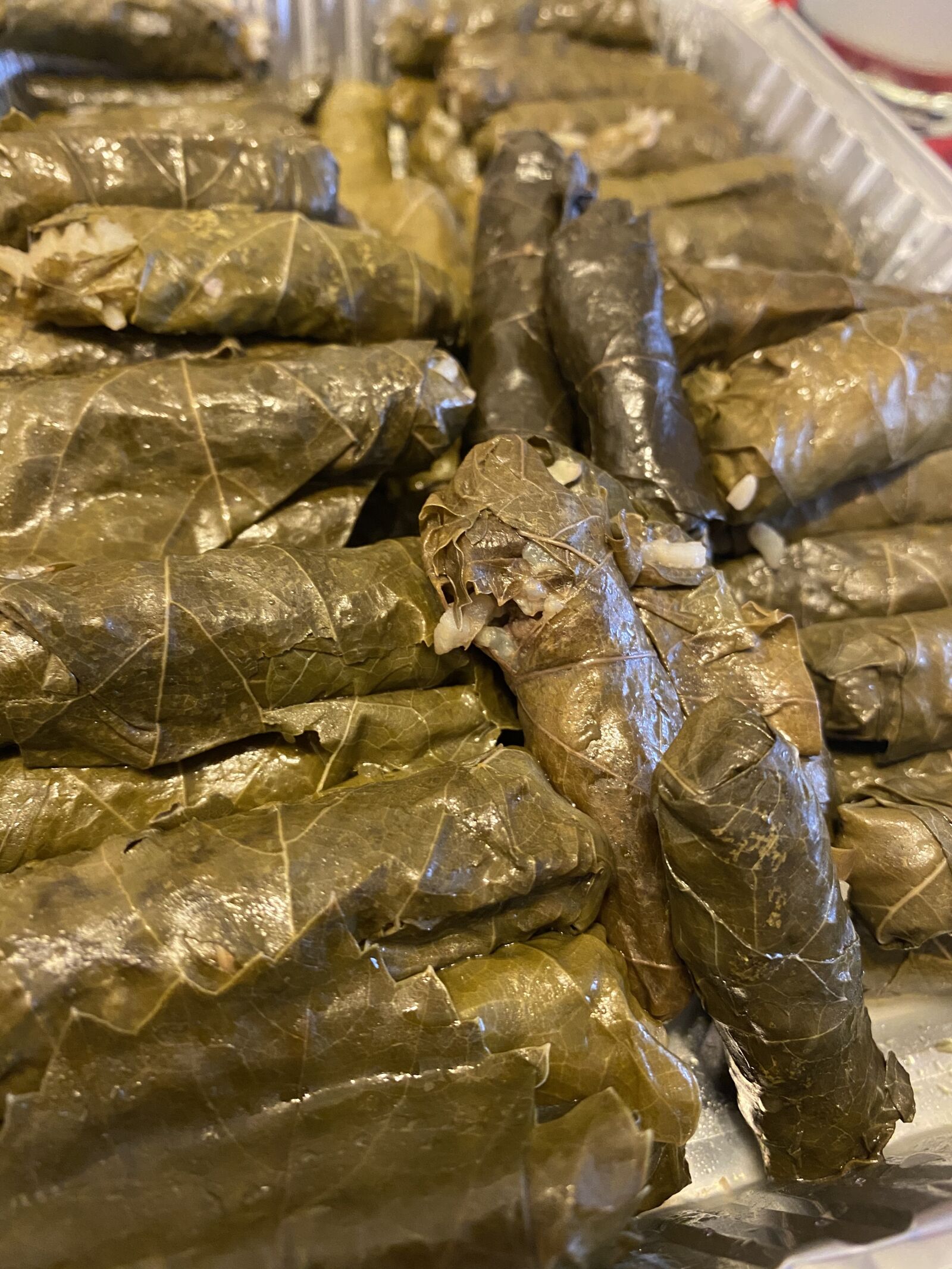 Apple iPhone 11 sample photo. Grape leaves, arabic, food photography