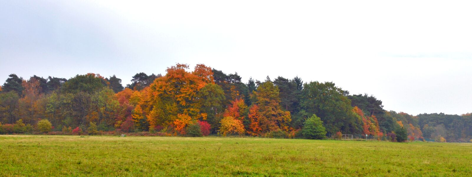 Nikon D5200 sample photo. Autumn, autumn panorama, autumn photography