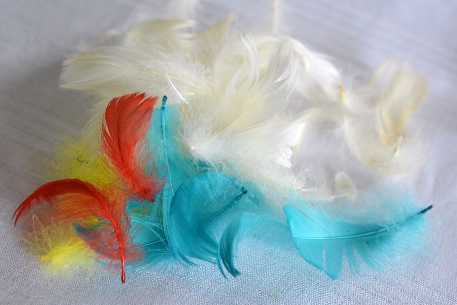 Nikon D5200 sample photo. Pen, feathers, colored feathers photography