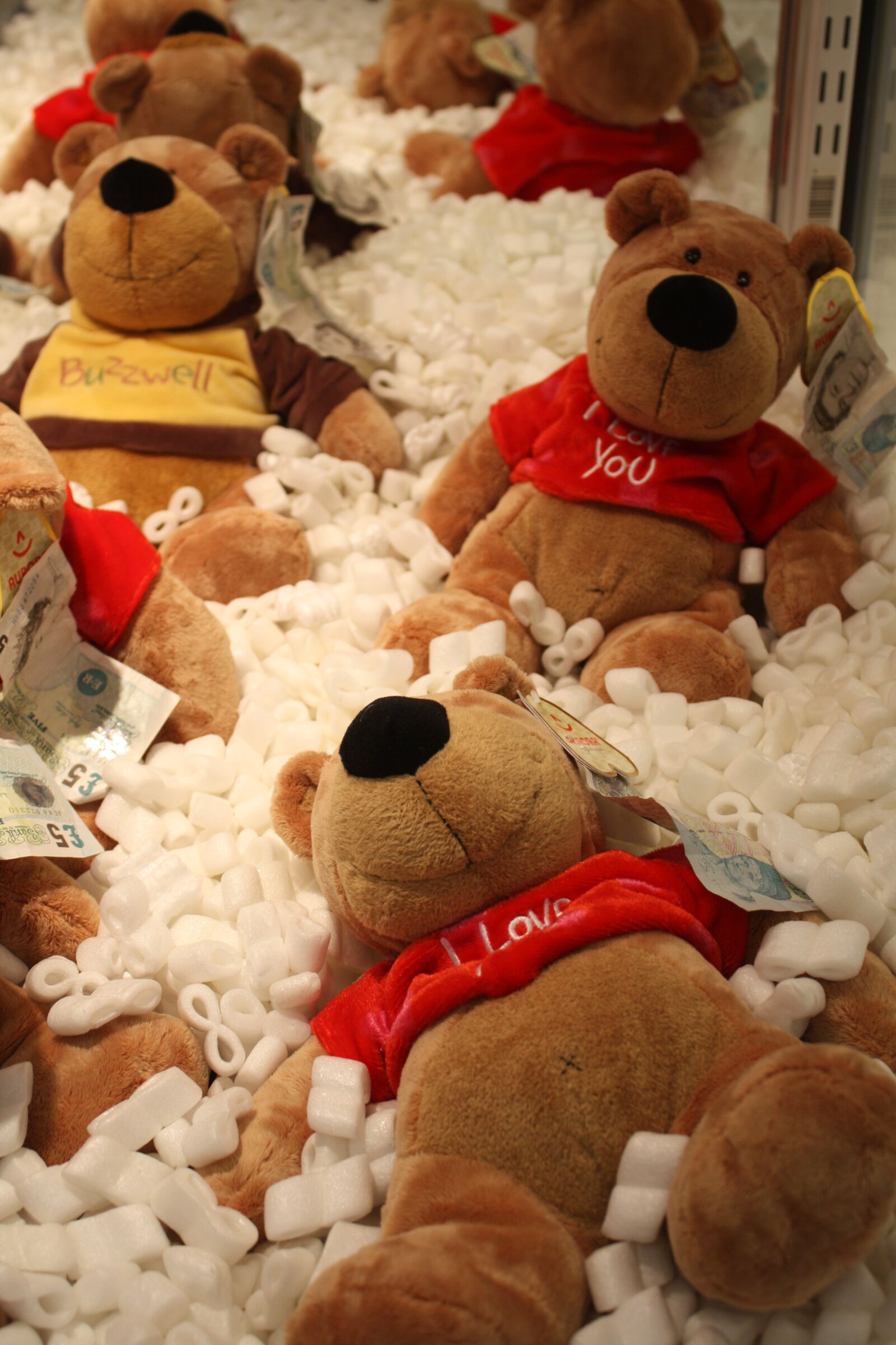 Canon EOS 450D (EOS Rebel XSi / EOS Kiss X2) sample photo. Teddy bear, prize, win photography