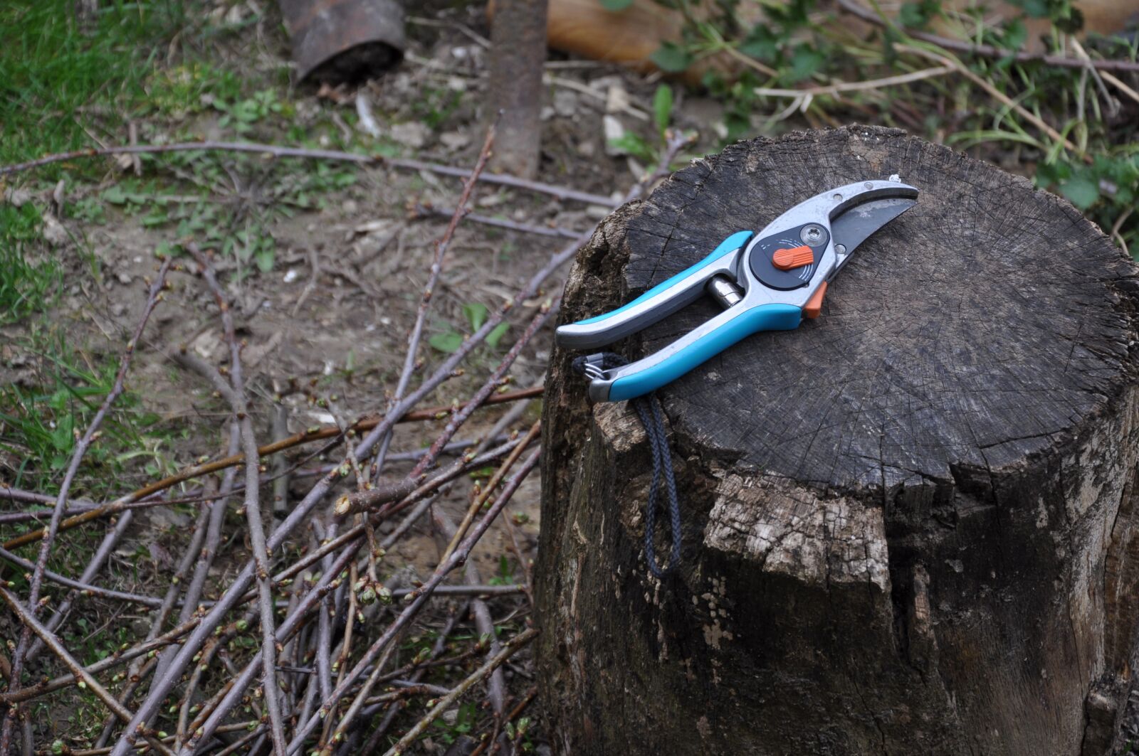Nikon D5000 sample photo. Pruning, shearing scissors, gardening photography