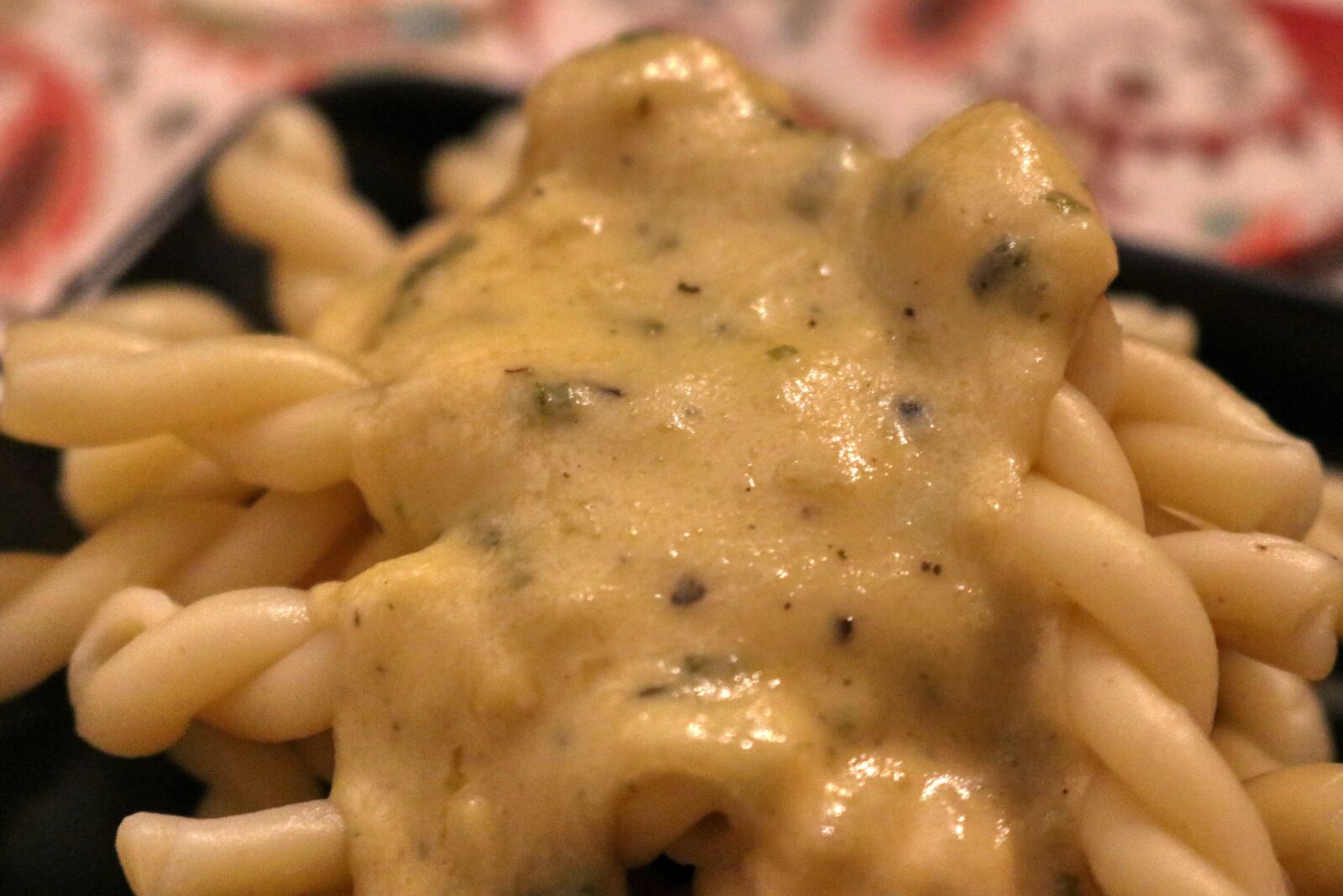 Canon EOS 80D sample photo. Sauce, raclette, pasta photography