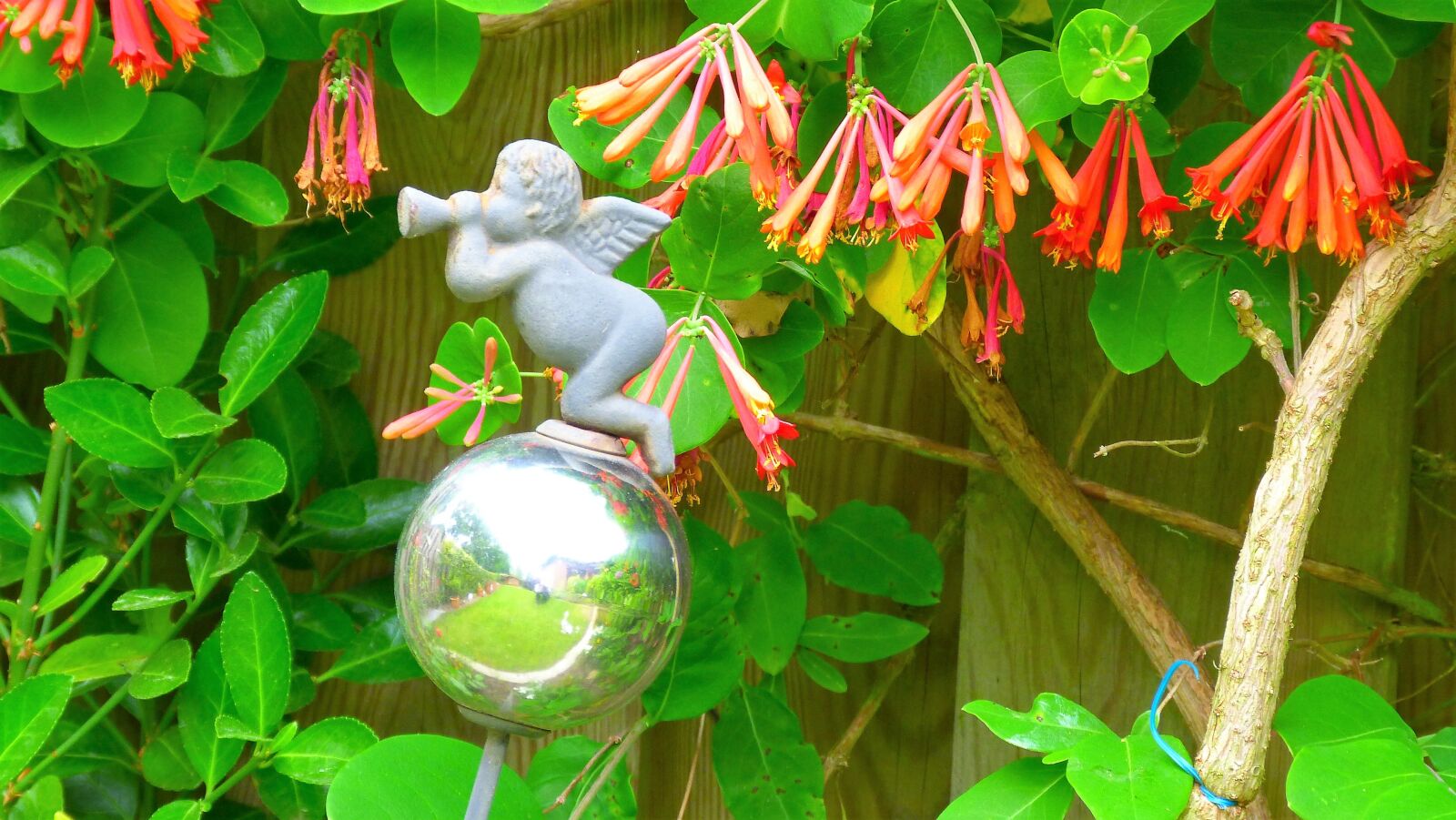 Panasonic Lumix DMC-FZ40 (Lumix DMC-FZ45) sample photo. Angel, deco, garden photography